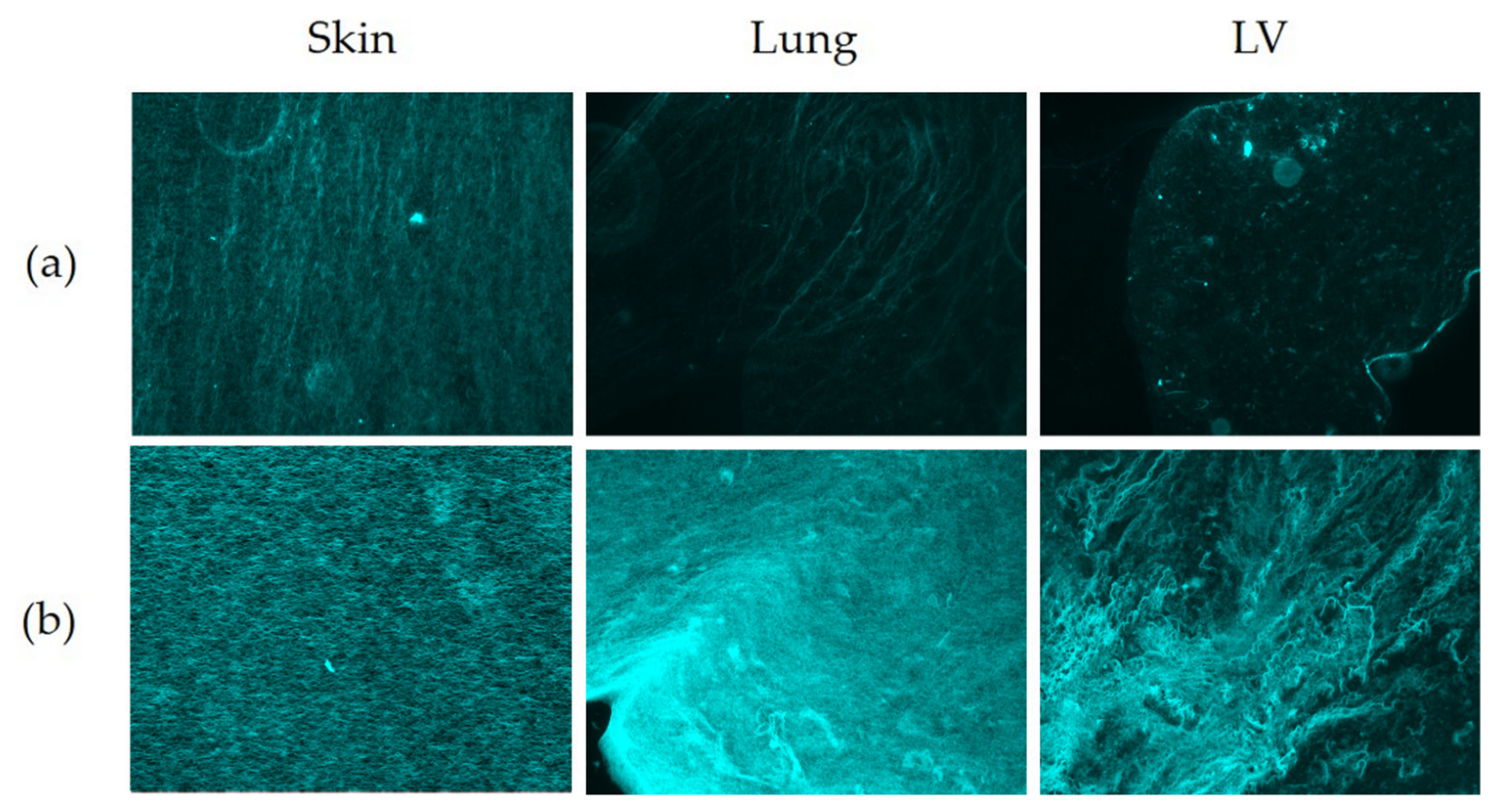 Polymers 13 03113 g008