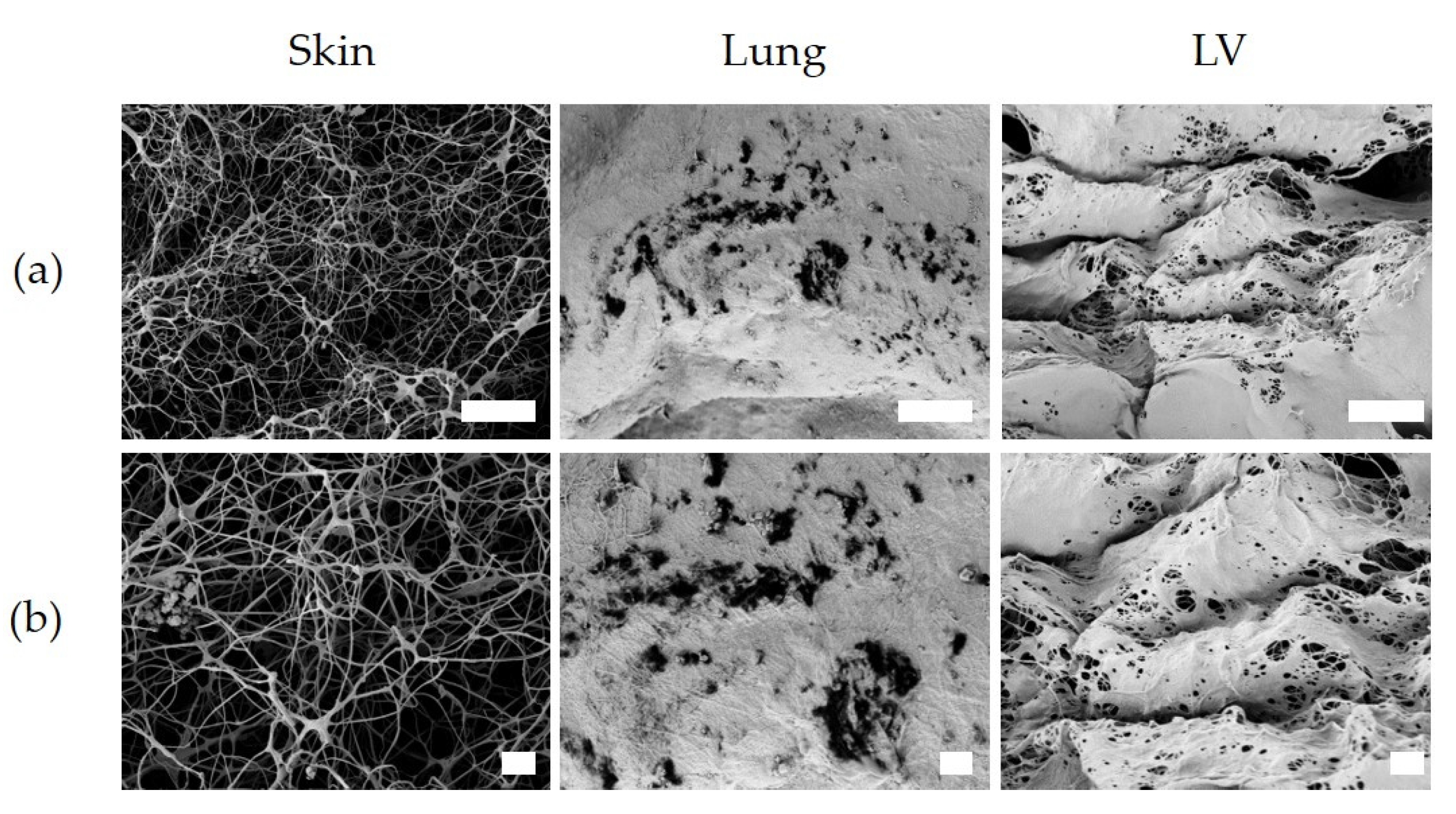 Polymers 13 03113 g009