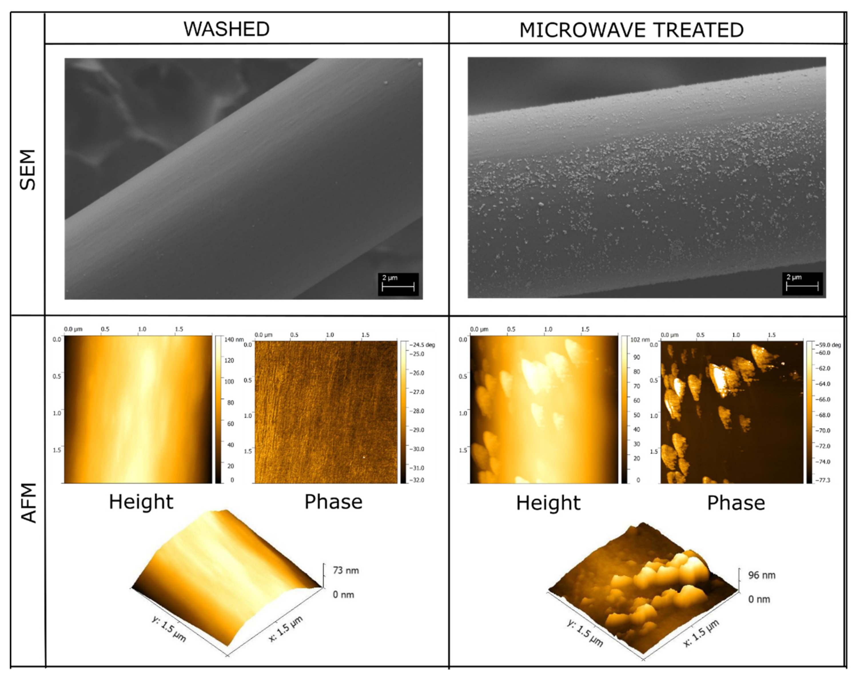 Polymers 13 03114 g001