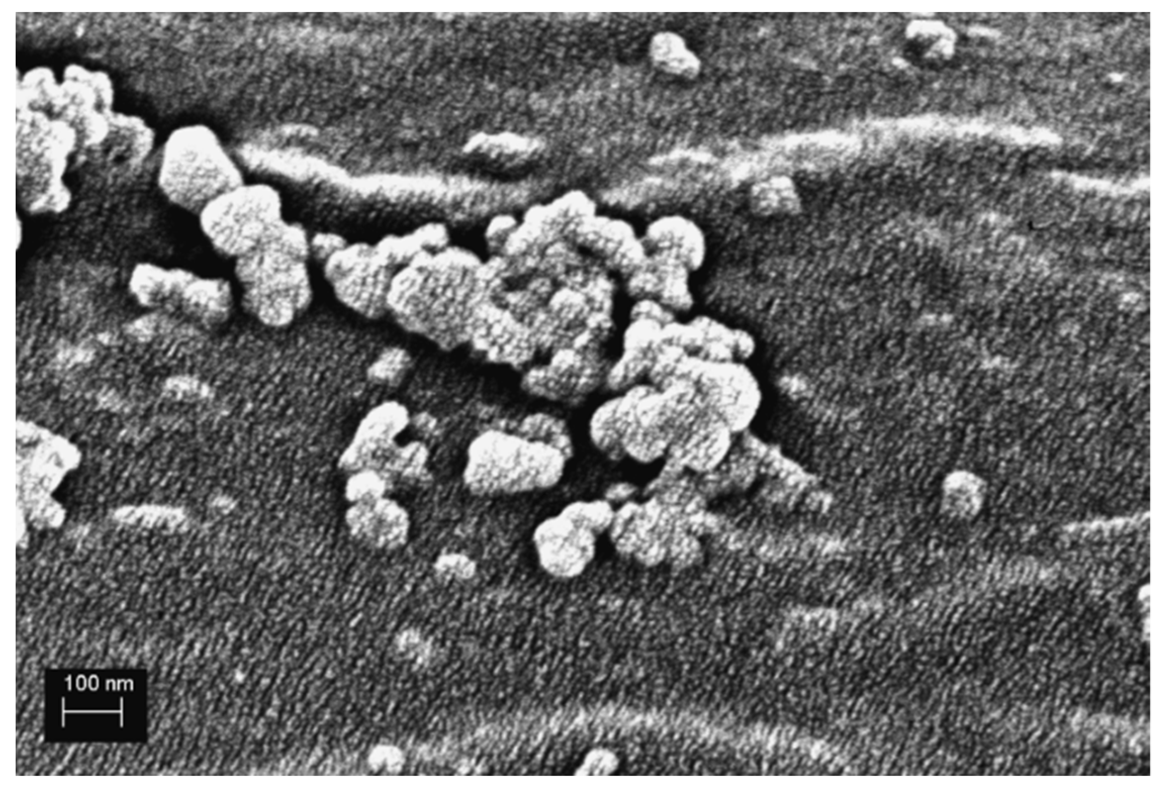 Polymers 13 03114 g002
