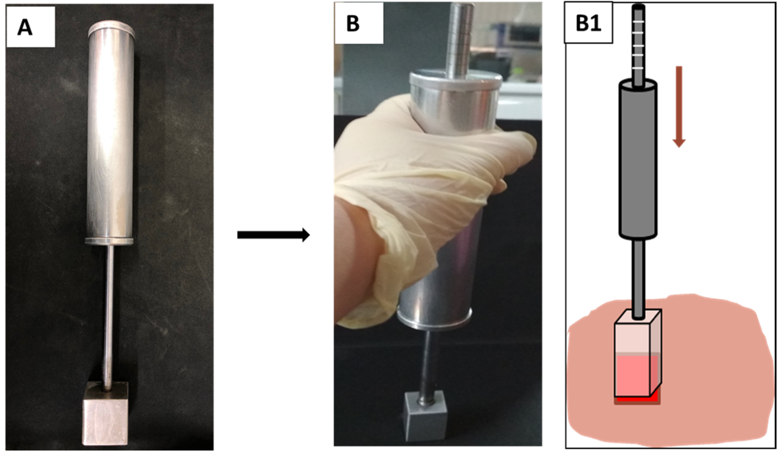 Polymers 13 03116 g001 Polymers 13 03116 g001