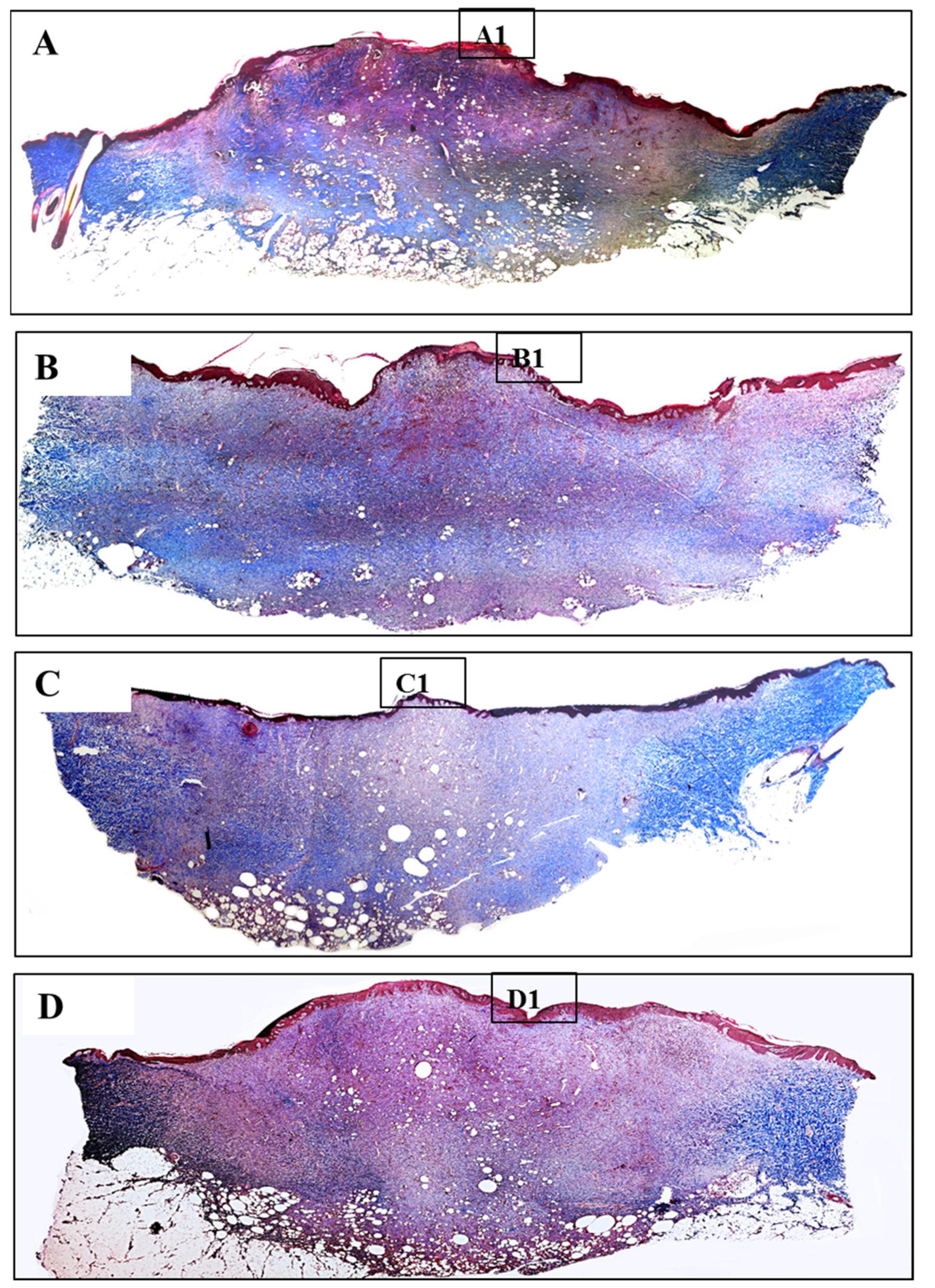 Polymers 13 03116 g010 Polymers 13 03116 g010