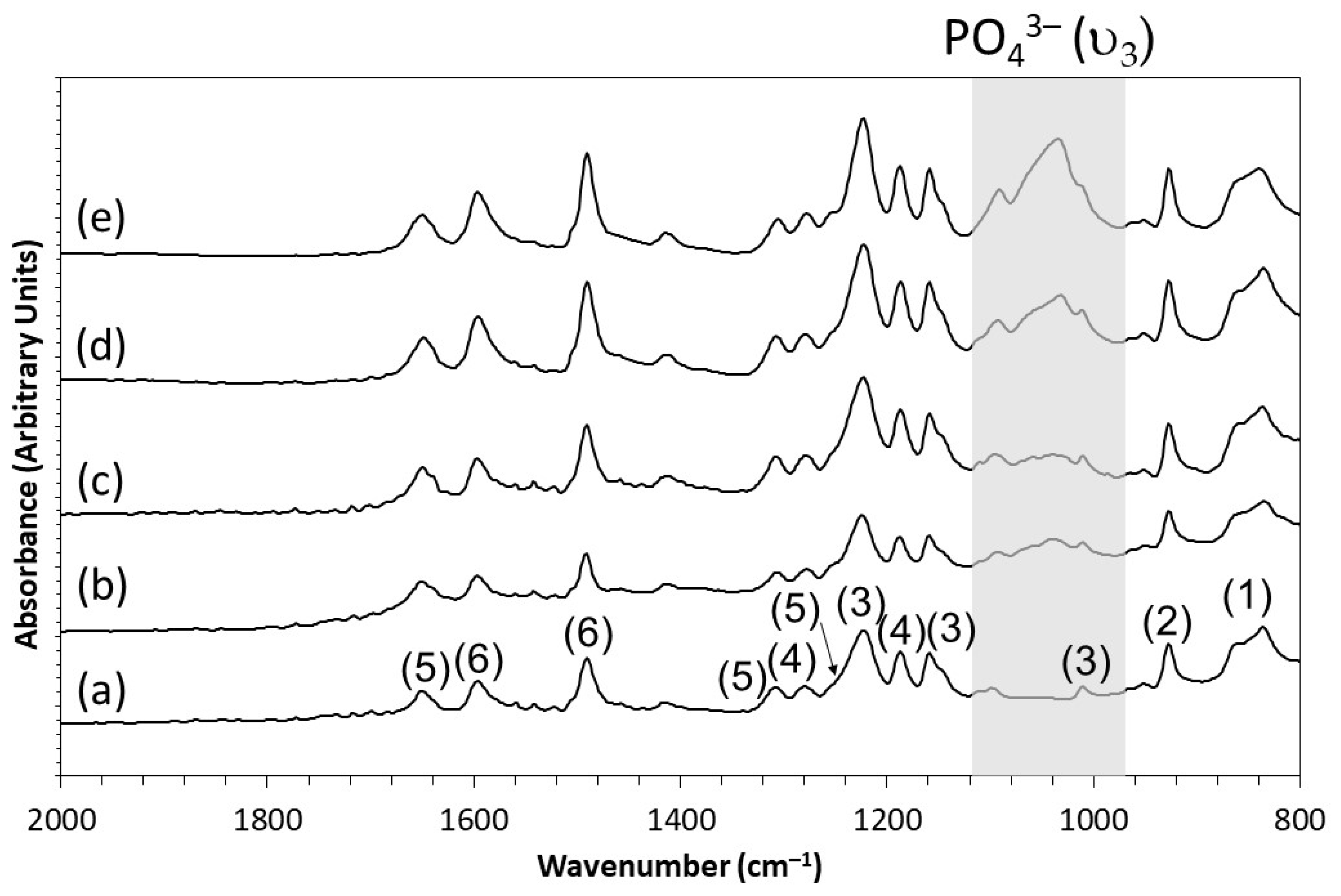 Polymers 13 03117 g002 550