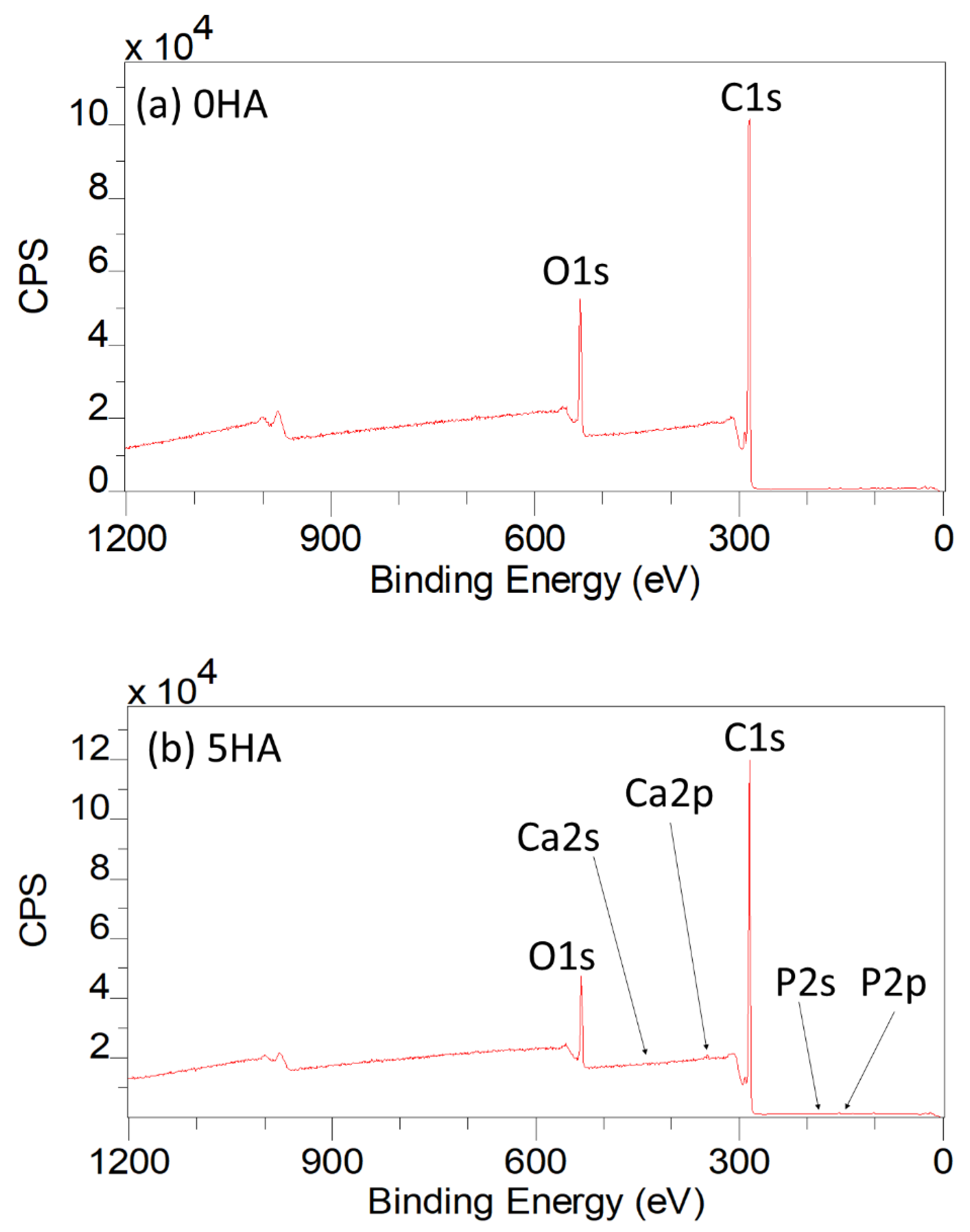Polymers 13 03117 g005 550