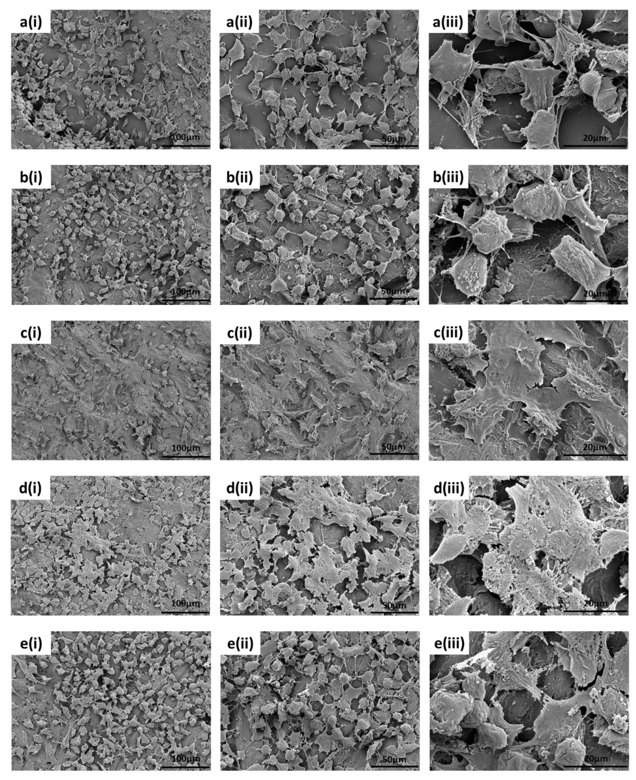 Polymers 13 03117 g014 550