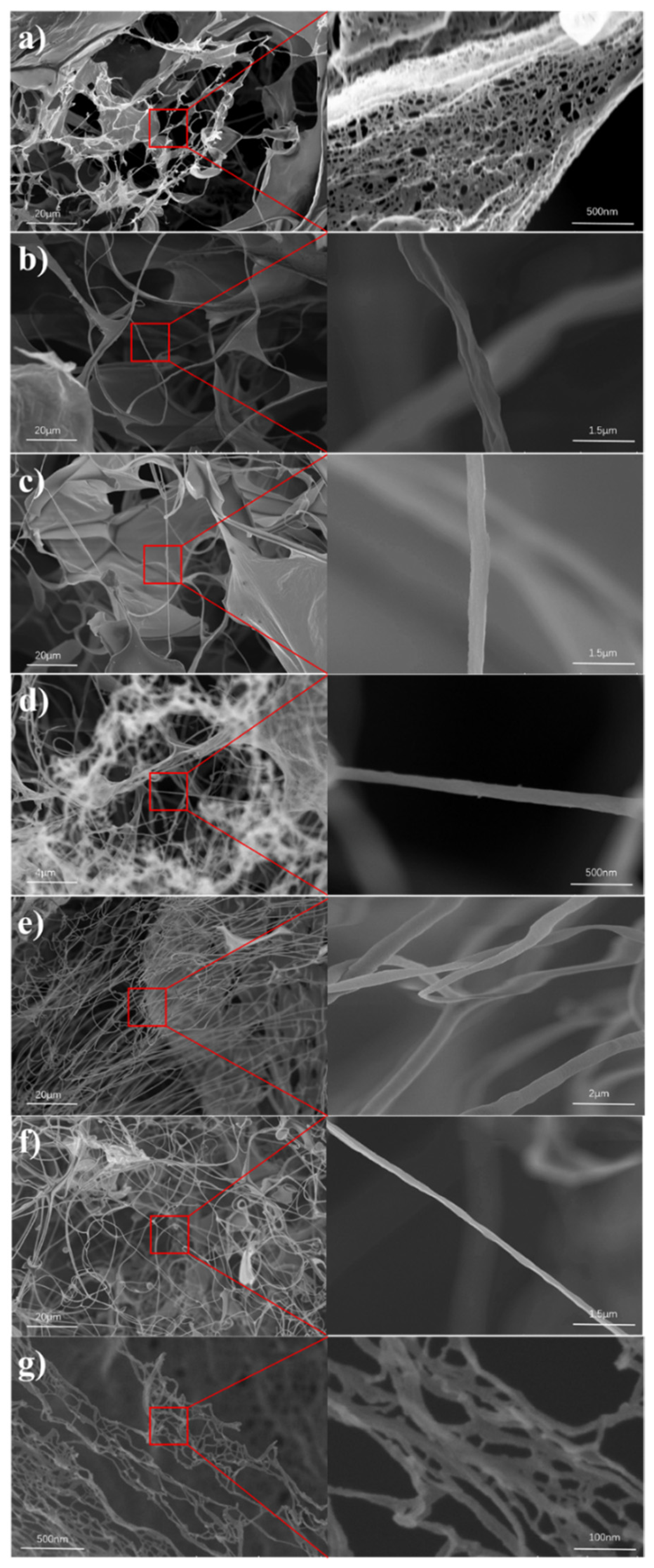 Polymers 13 03119 g001 550