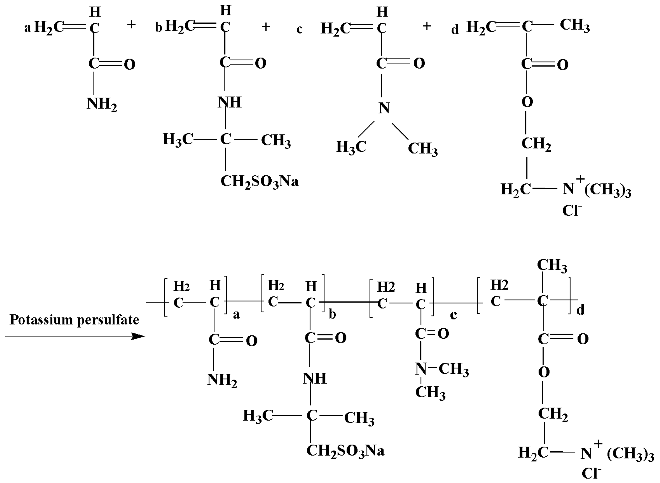 Polymers 13 03120 g001
