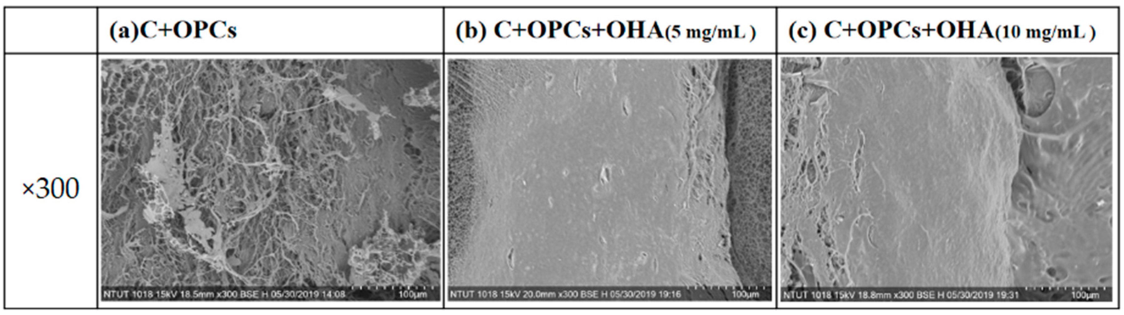 Polymers 13 03123 g003 550