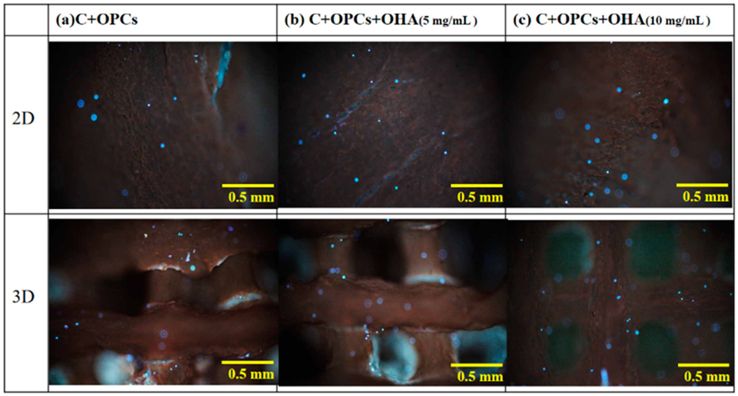Polymers 13 03123 g010 550