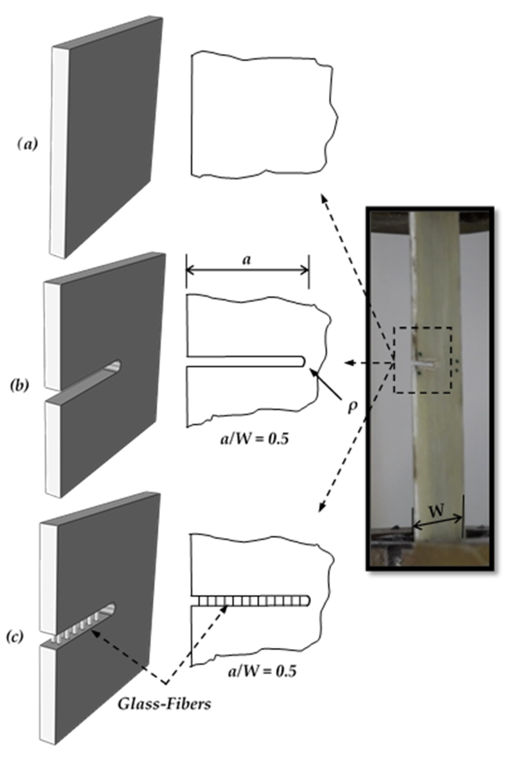 Polymers 13 03129 g001