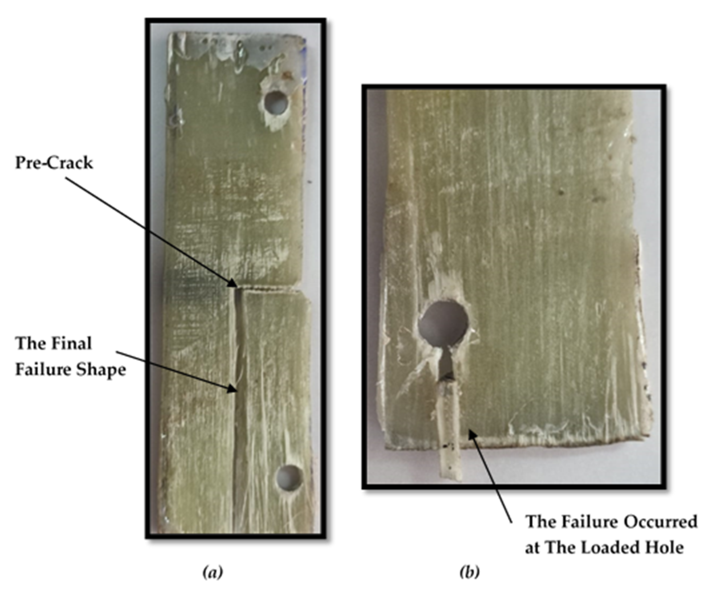 Polymers 13 03129 g008