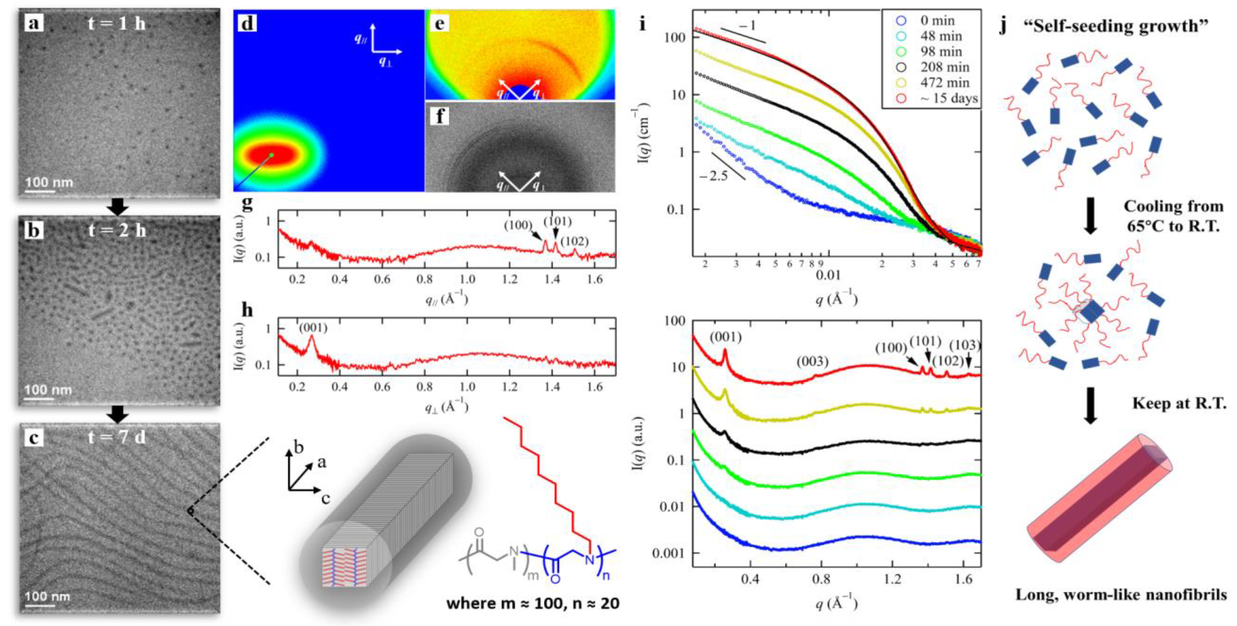 Polymers 13 03131 g005 Polymers 13 03131 g005