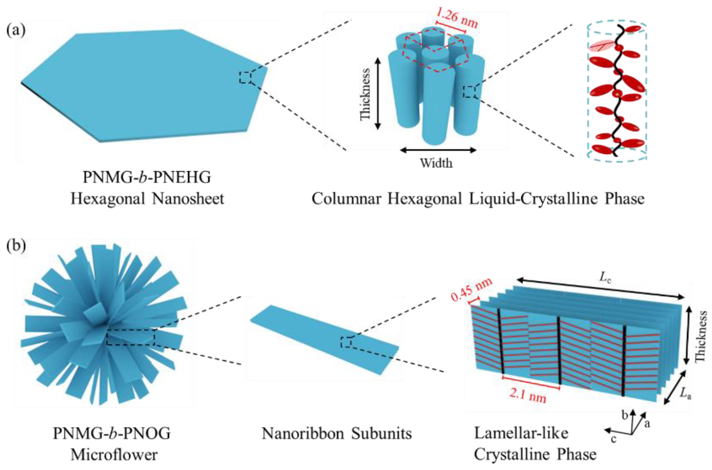 Polymers 13 03131 g009 Polymers 13 03131 g009
