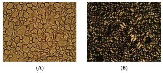 Polymers Free Full Text Production Of Edible S Based On Pea Starch With Incorporation Active Compounds Obtained From The Purple Araçá Psidium Myrtoides Html Edible S Based On Pea Starch, Schott Pea Coat Us 740nm
