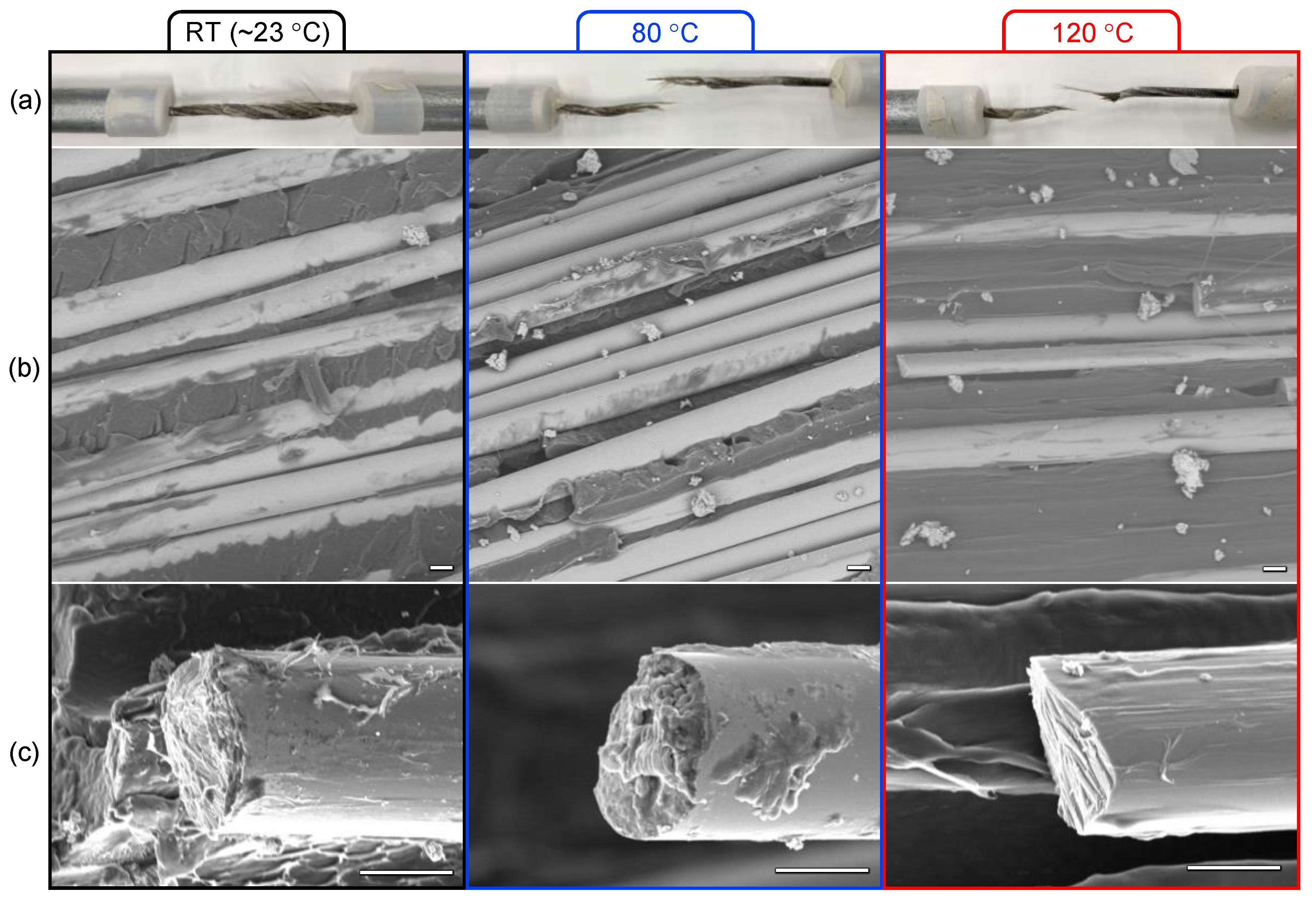 Polymers 13 03136 g004