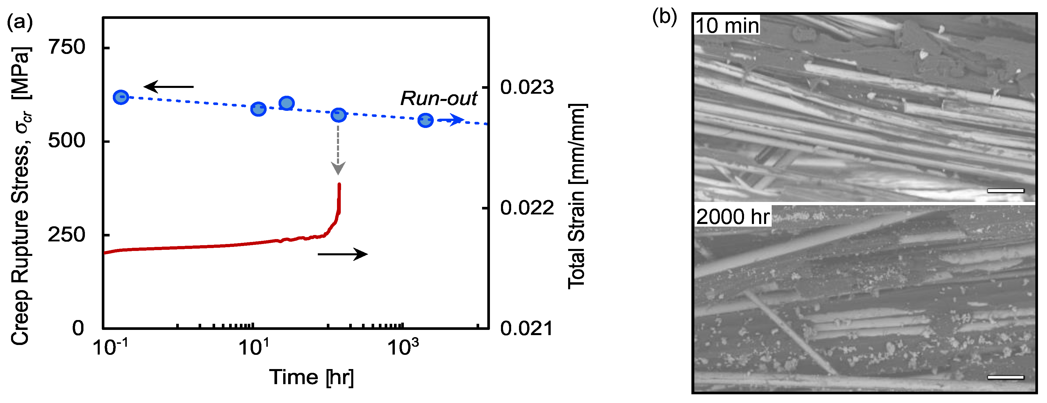 Polymers 13 03136 g005
