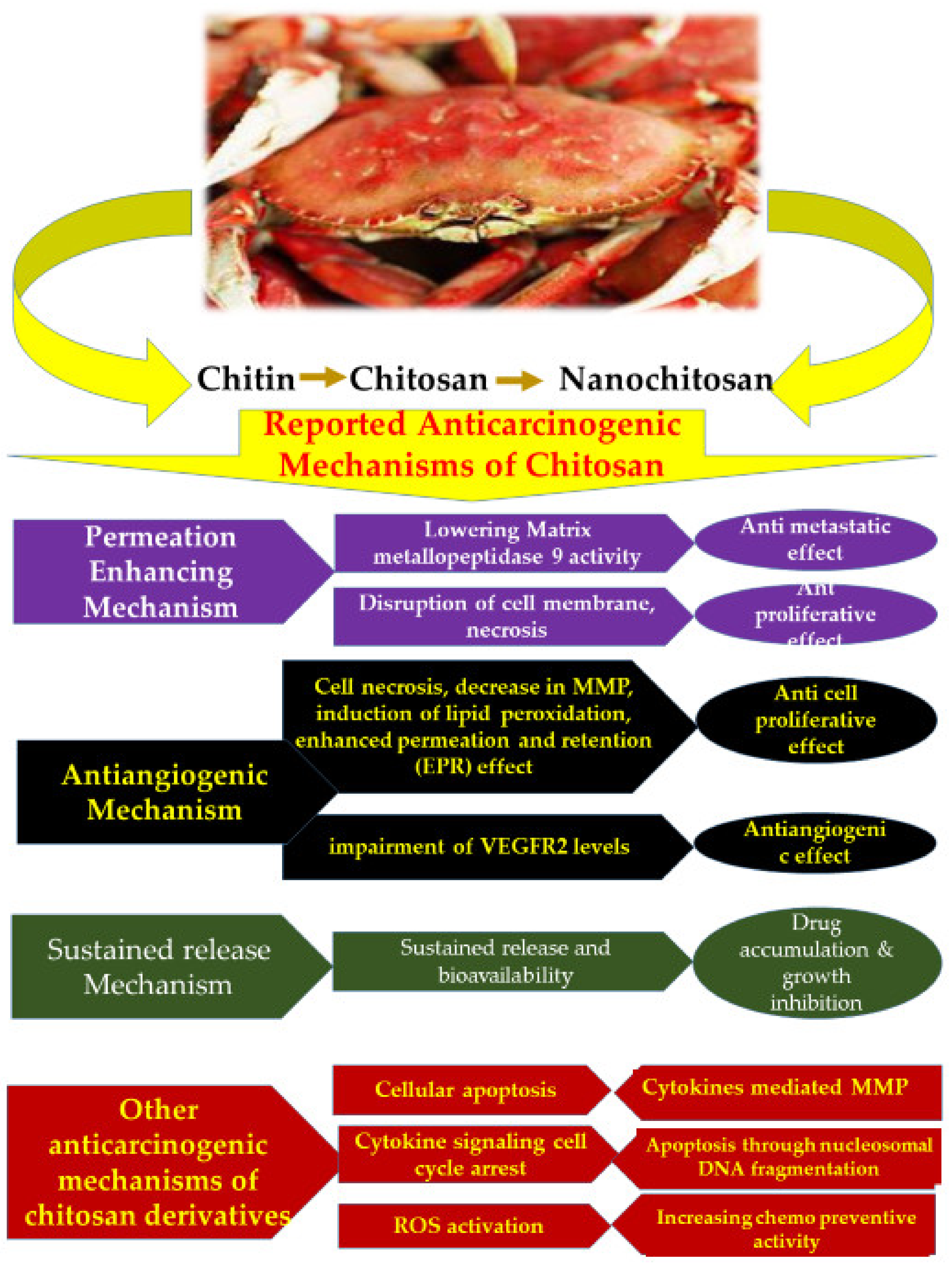 Polymers 13 03138 g002