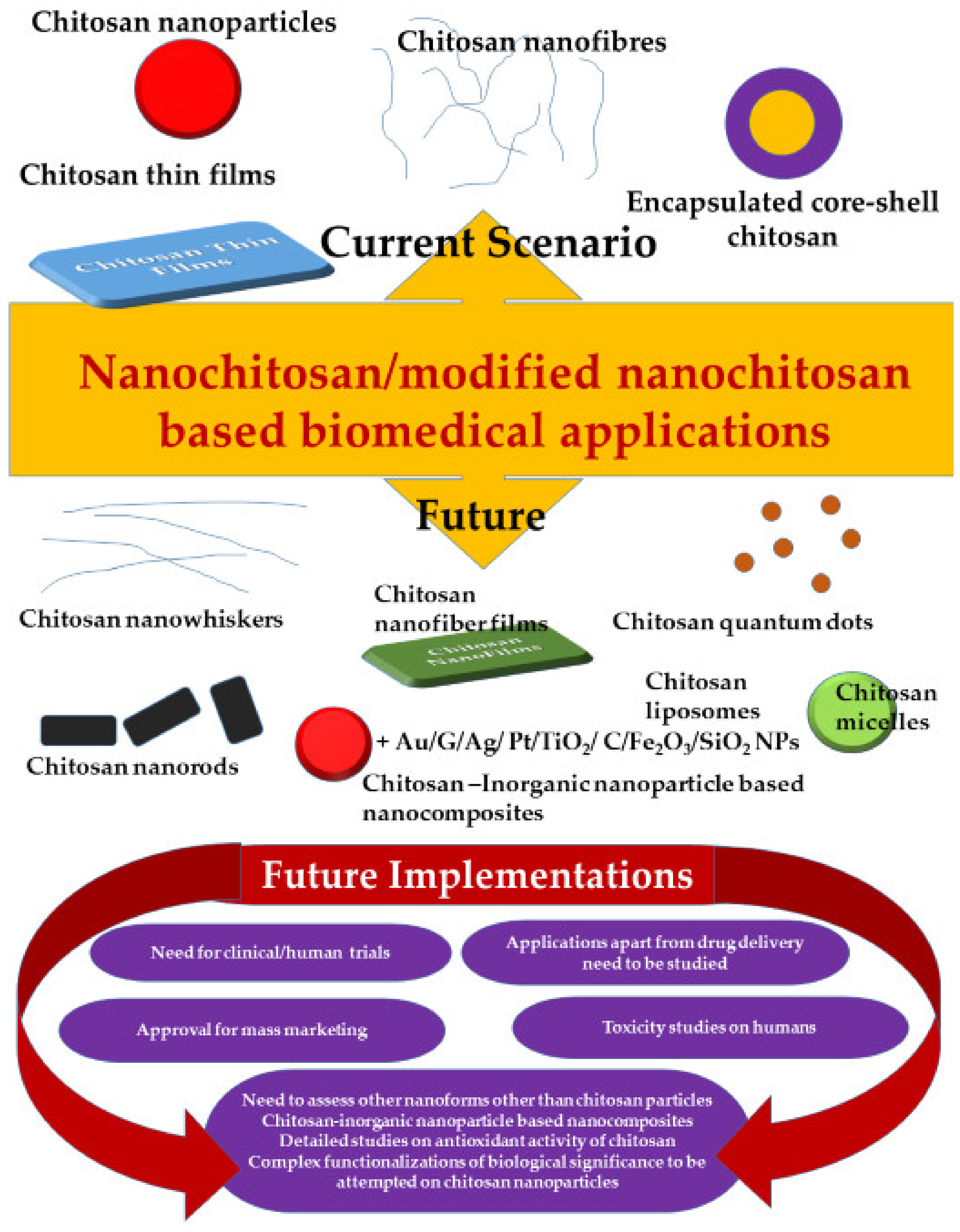 Polymers 13 03138 g003