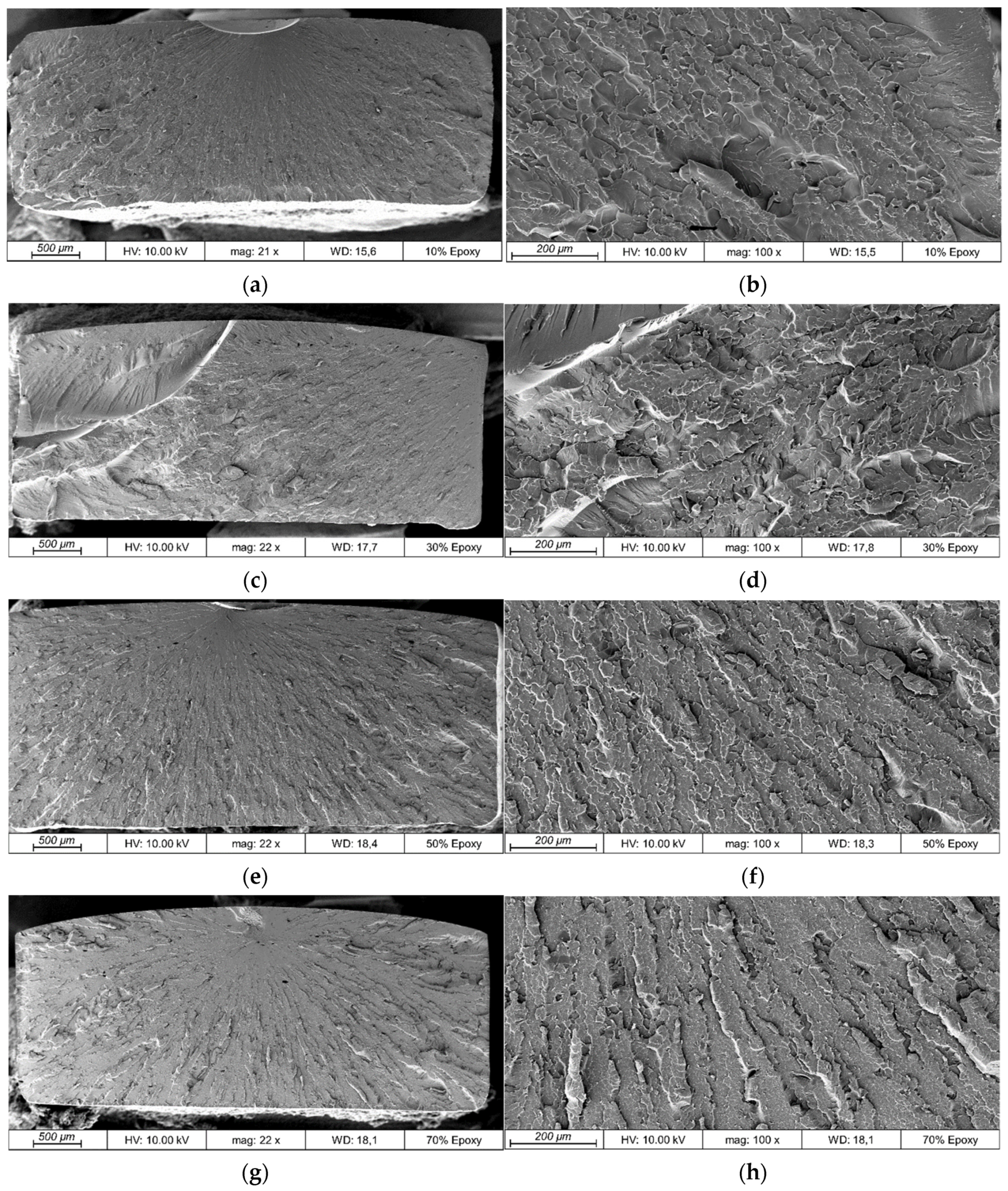 Polymers 13 03139 g008 550