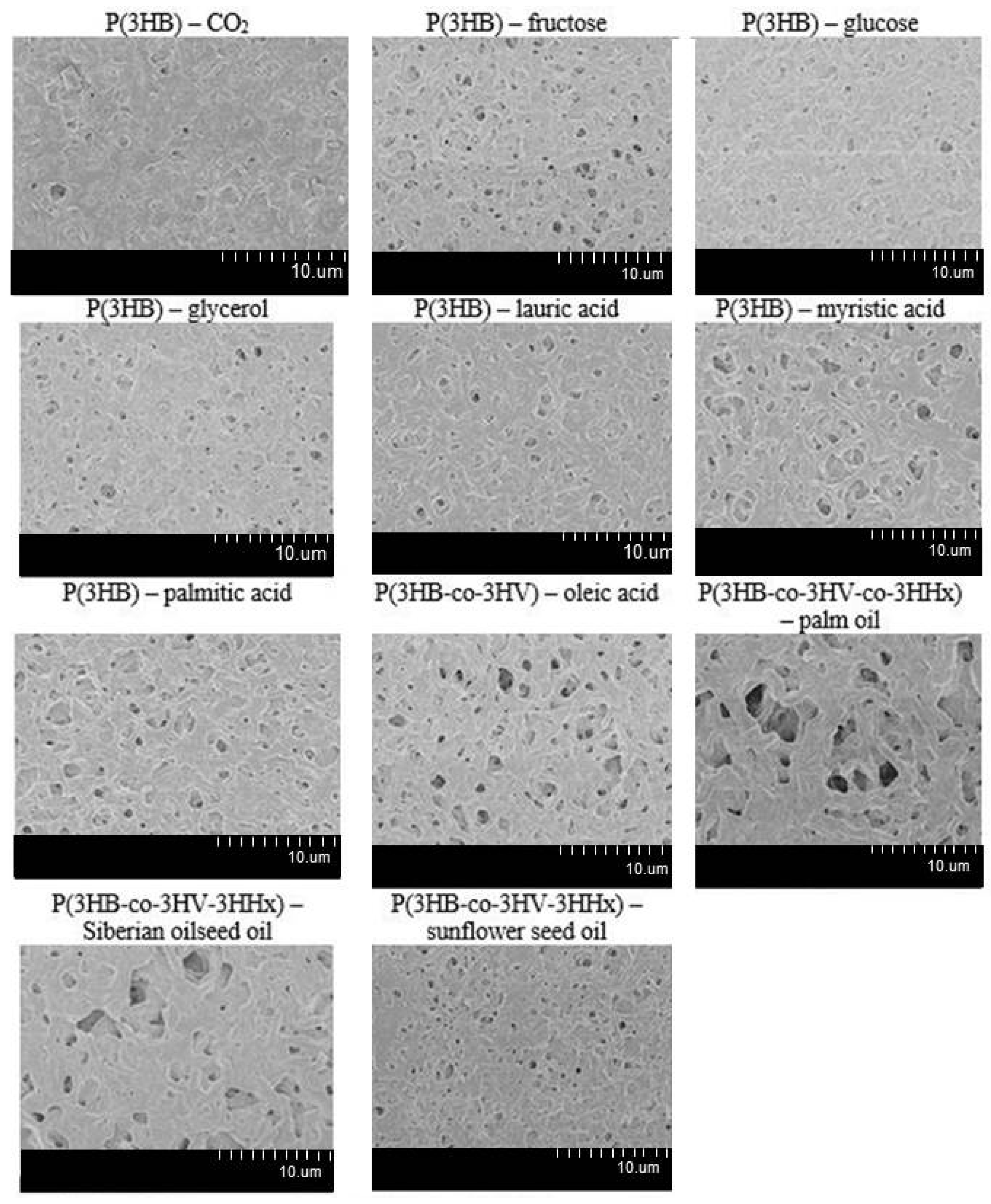 Polymers 13 03142 g005