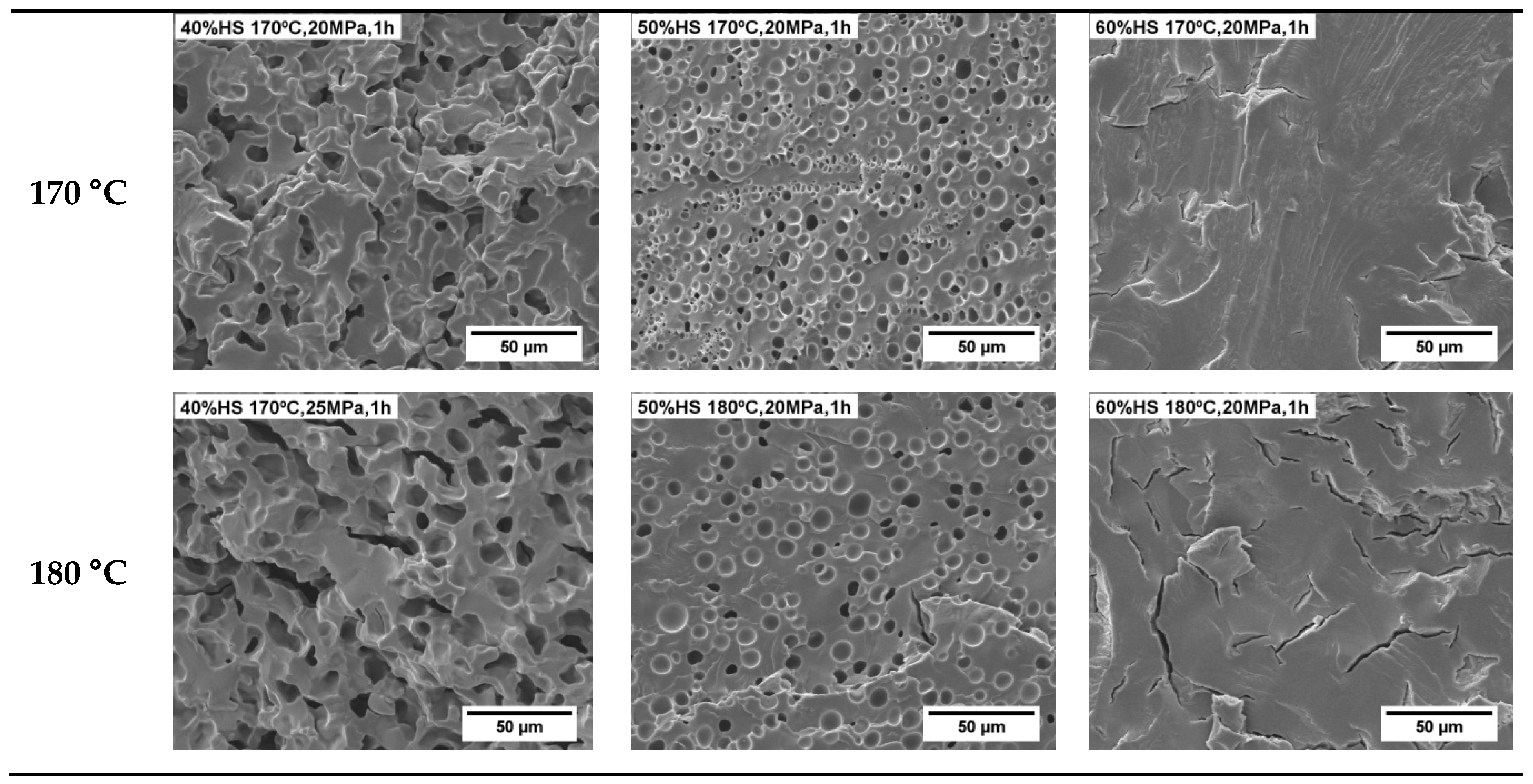 Polymers 13 03143 g005b 550