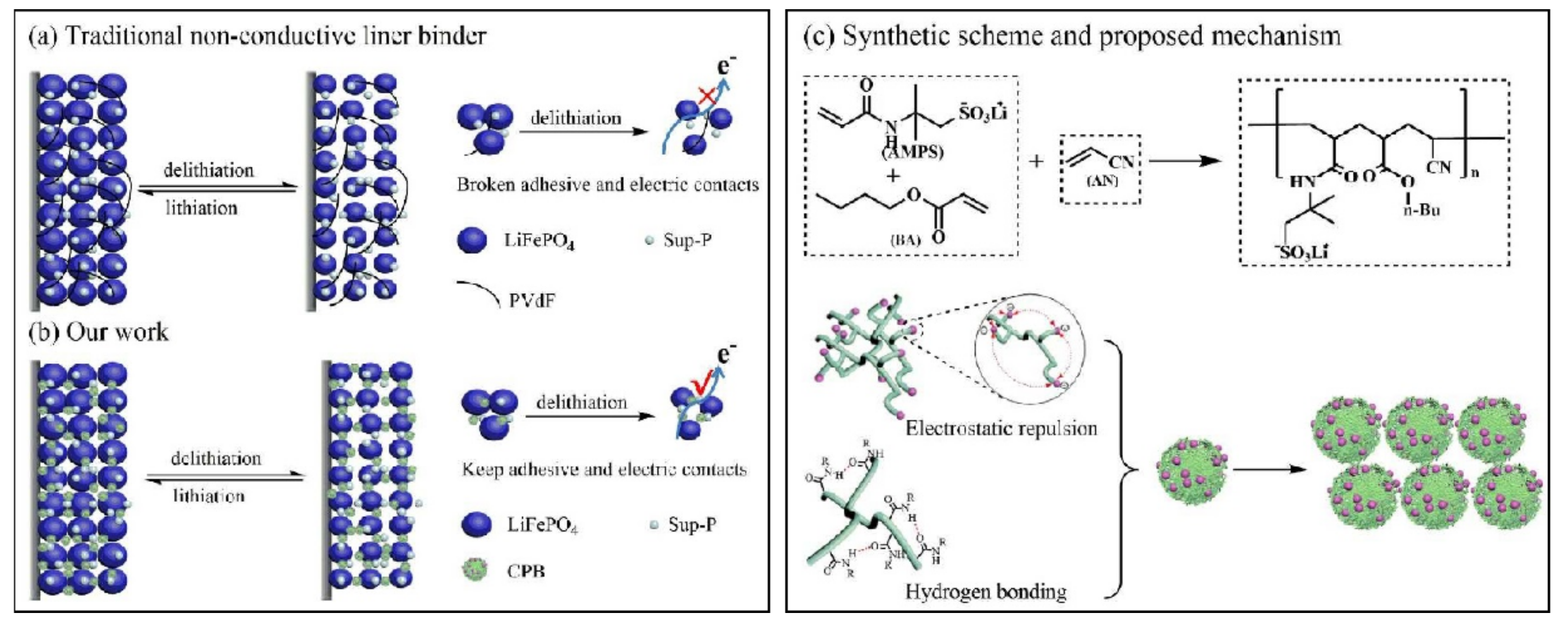 Polymers Free FullText Rational Design of Effective Binders for