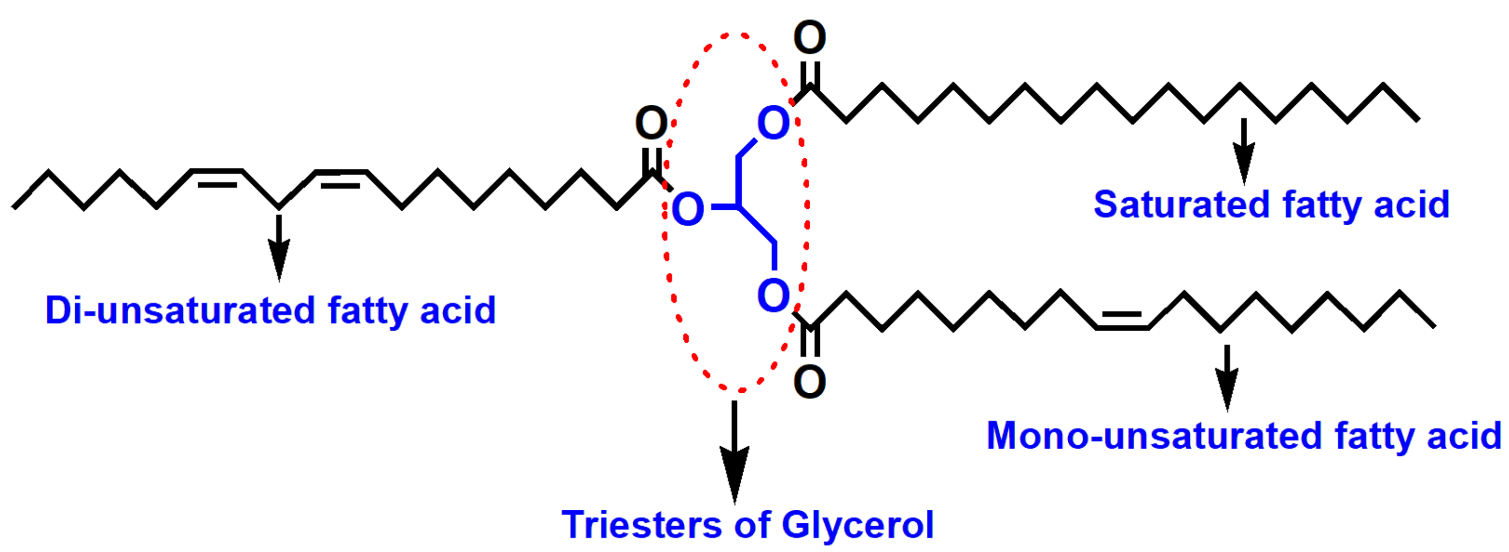 Polymers 13 03149 g004