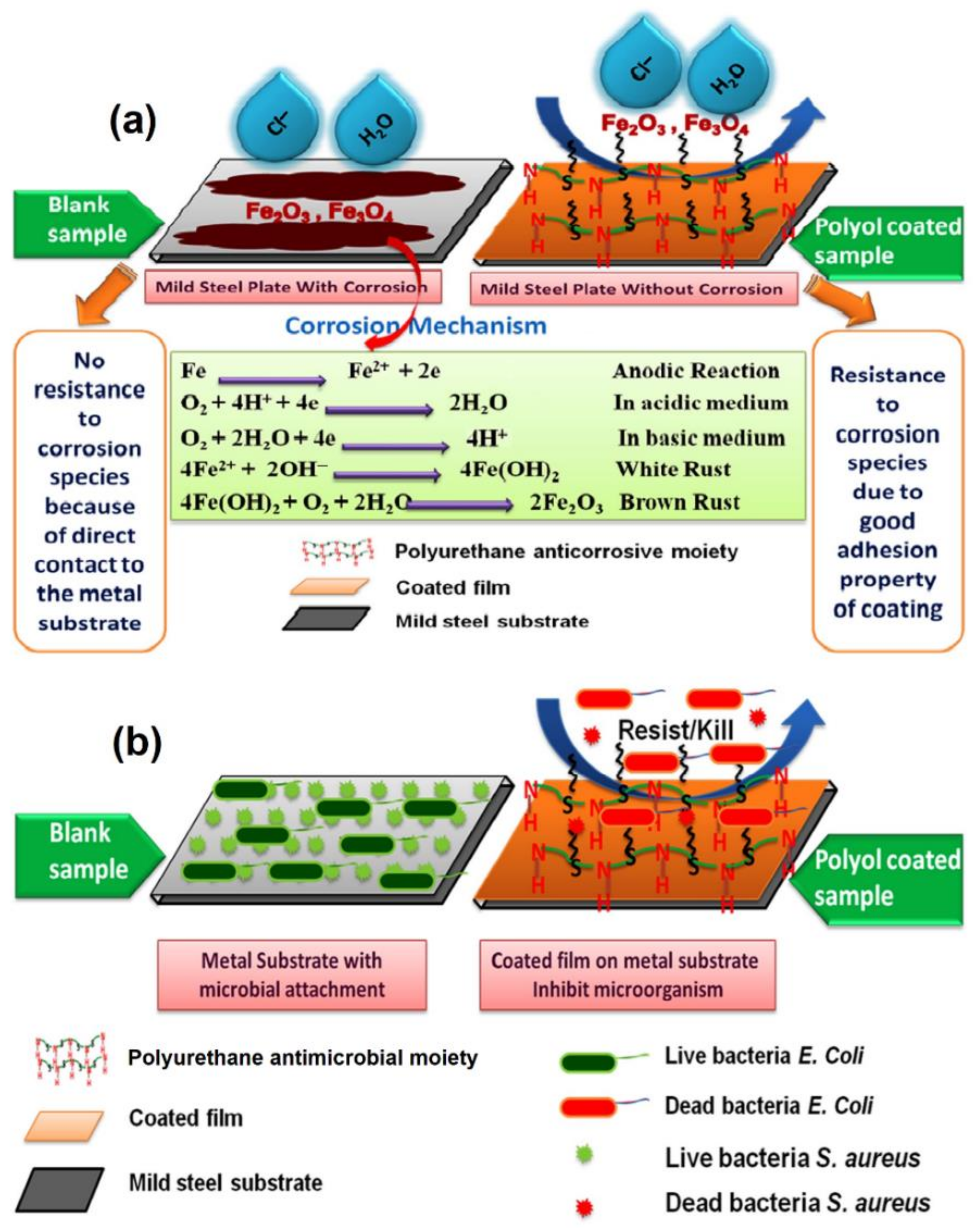 Polymers 13 03149 g008