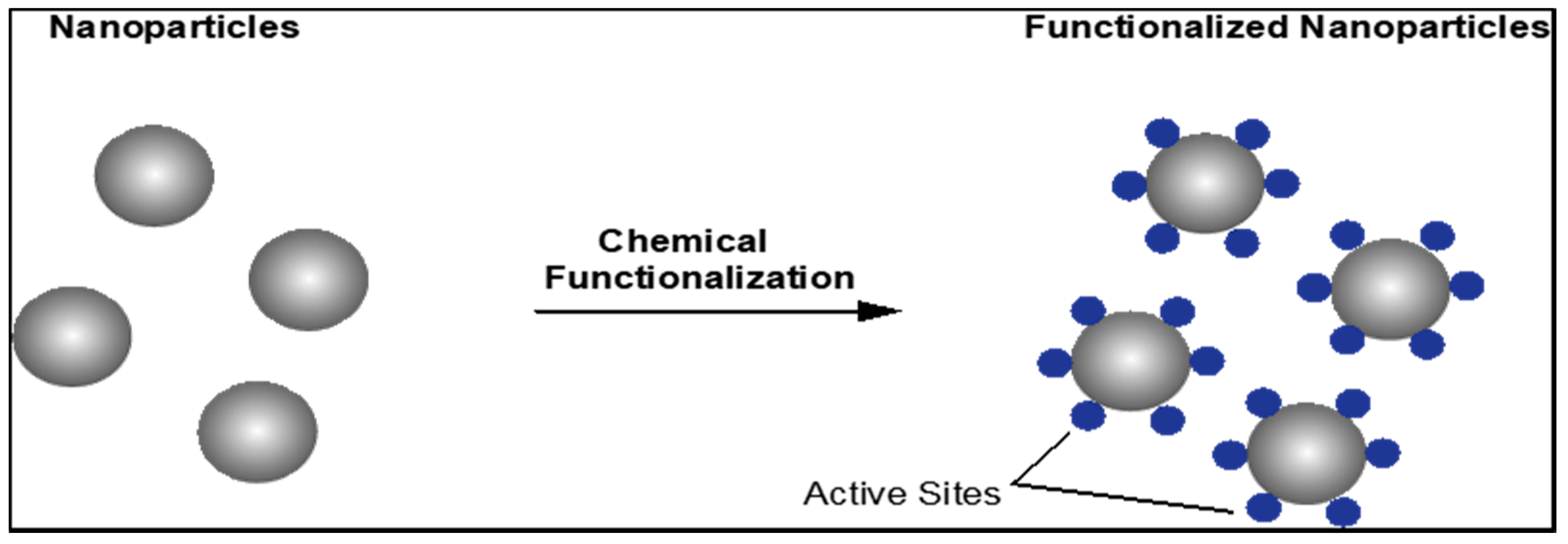 Polymers 13 03150 g001
