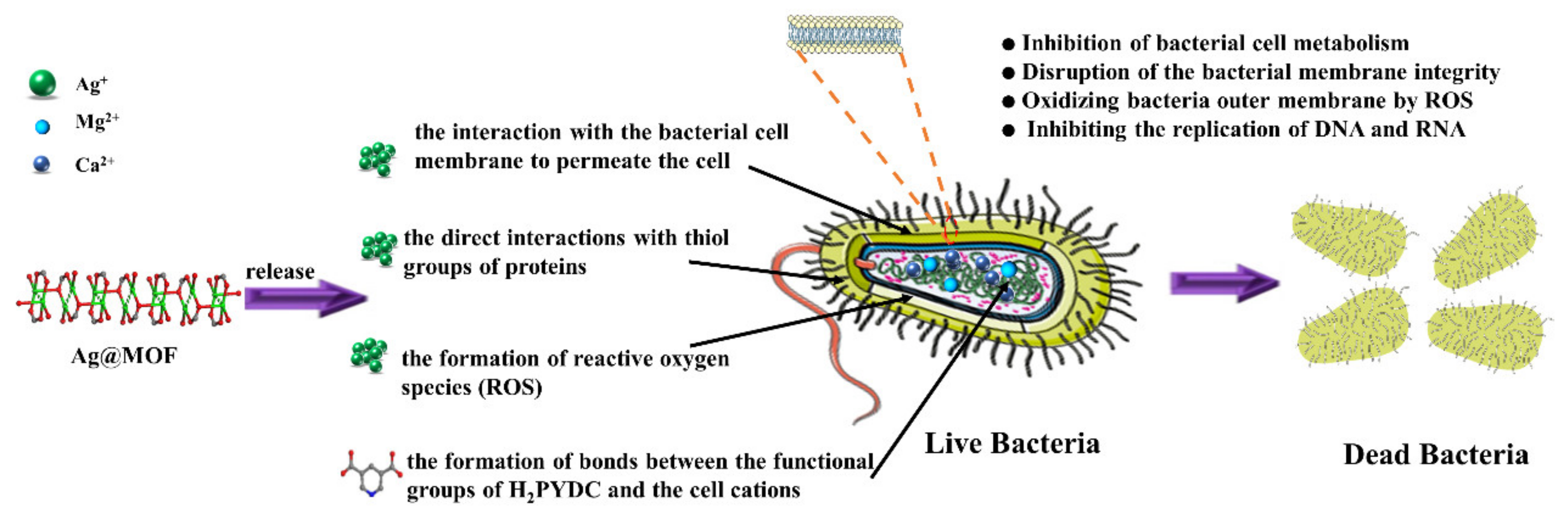 Polymers 13 03151 g001 550
