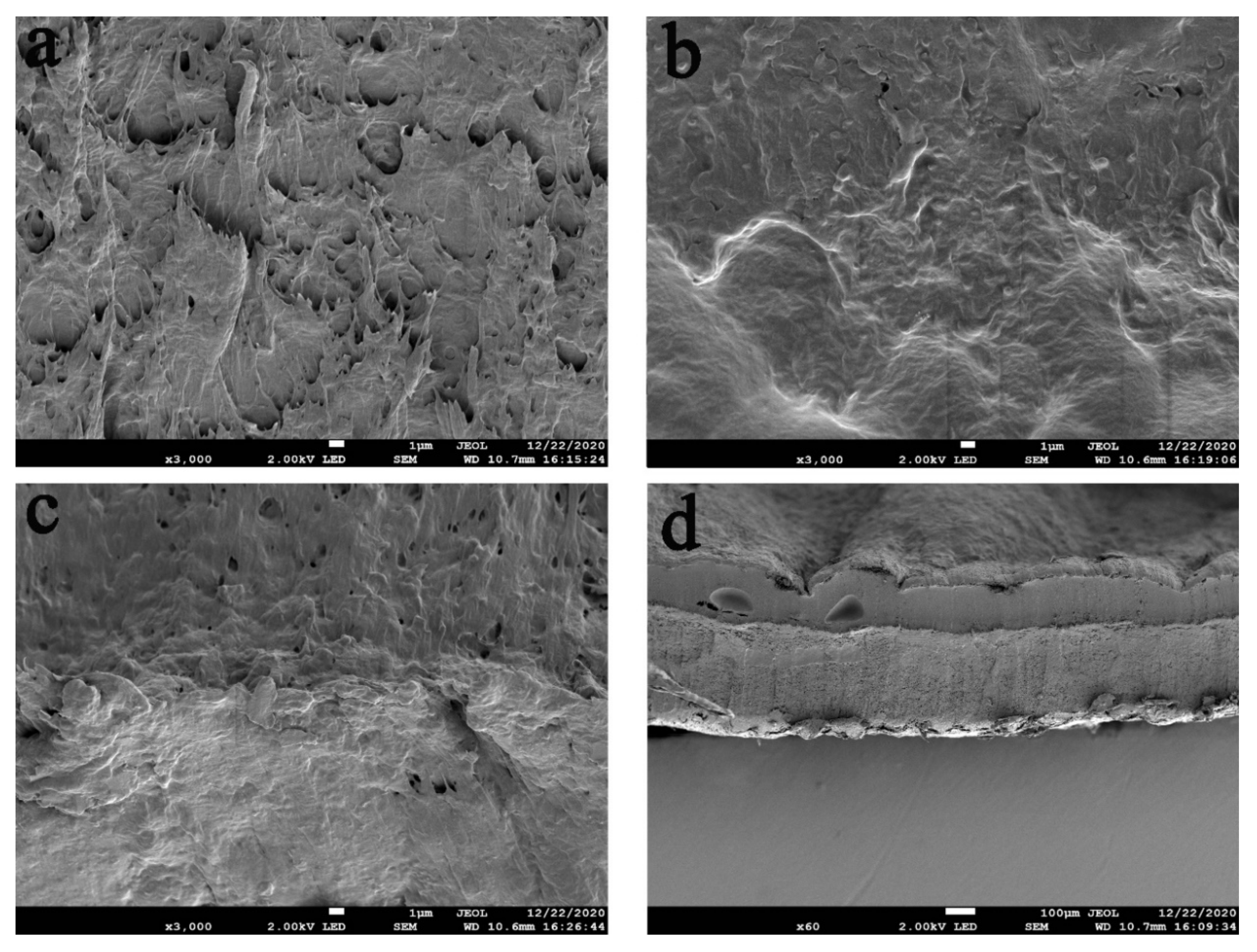 Polymers 13 03151 g003 550