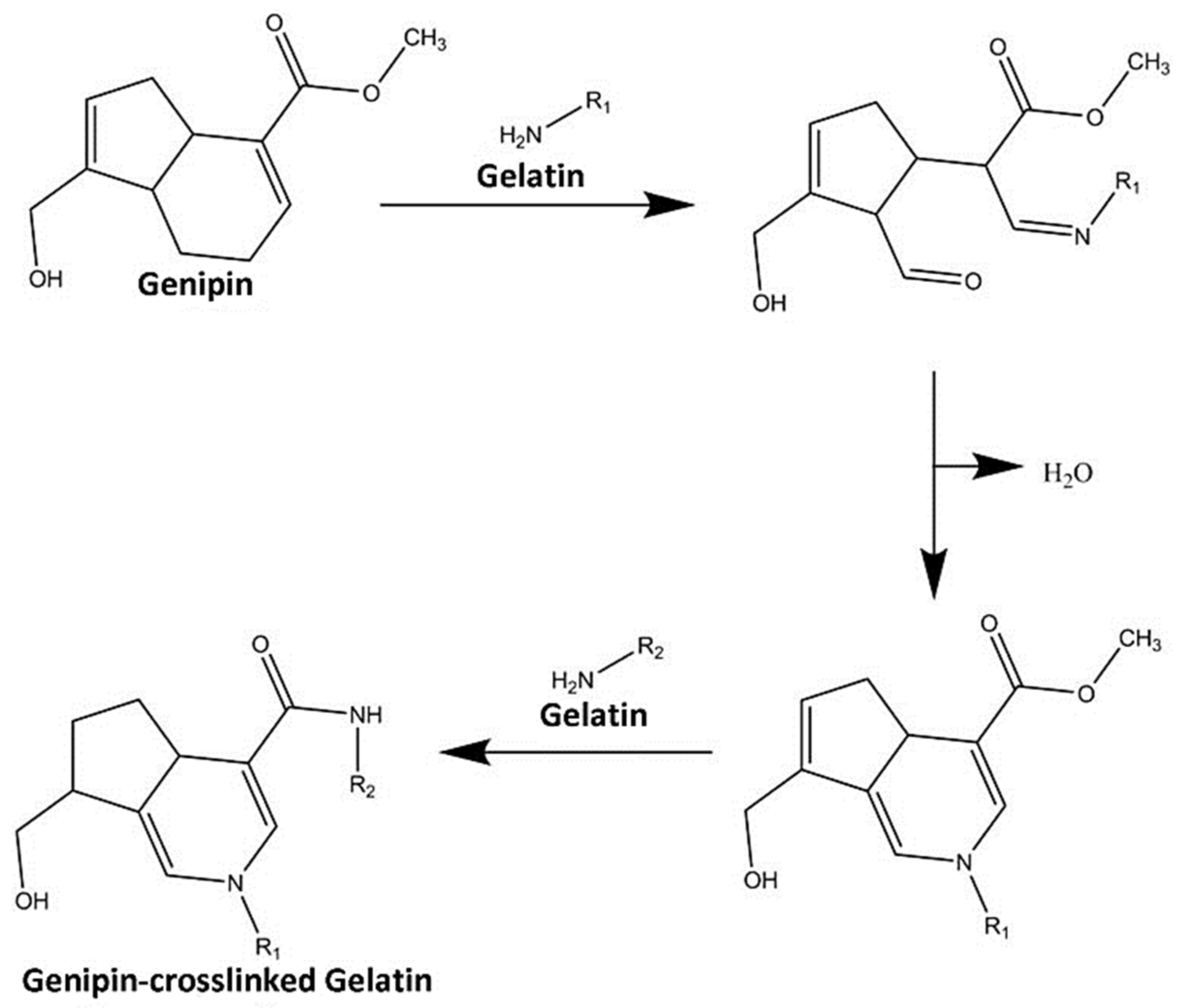 Polymers 13 03152 sch001
