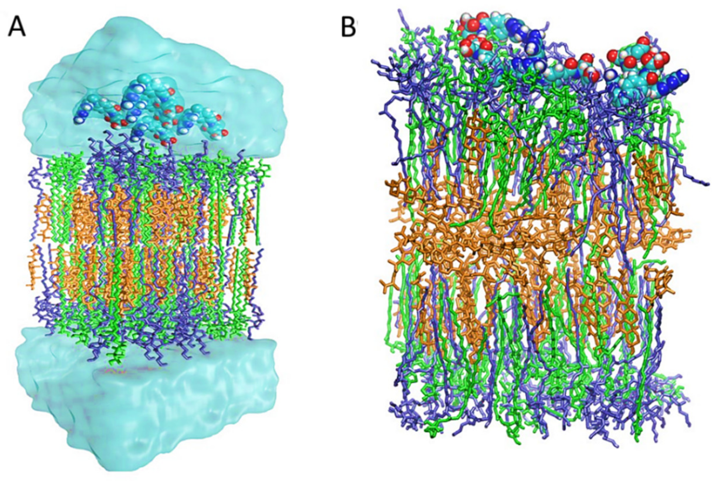 Polymers 13 03153 g002 550