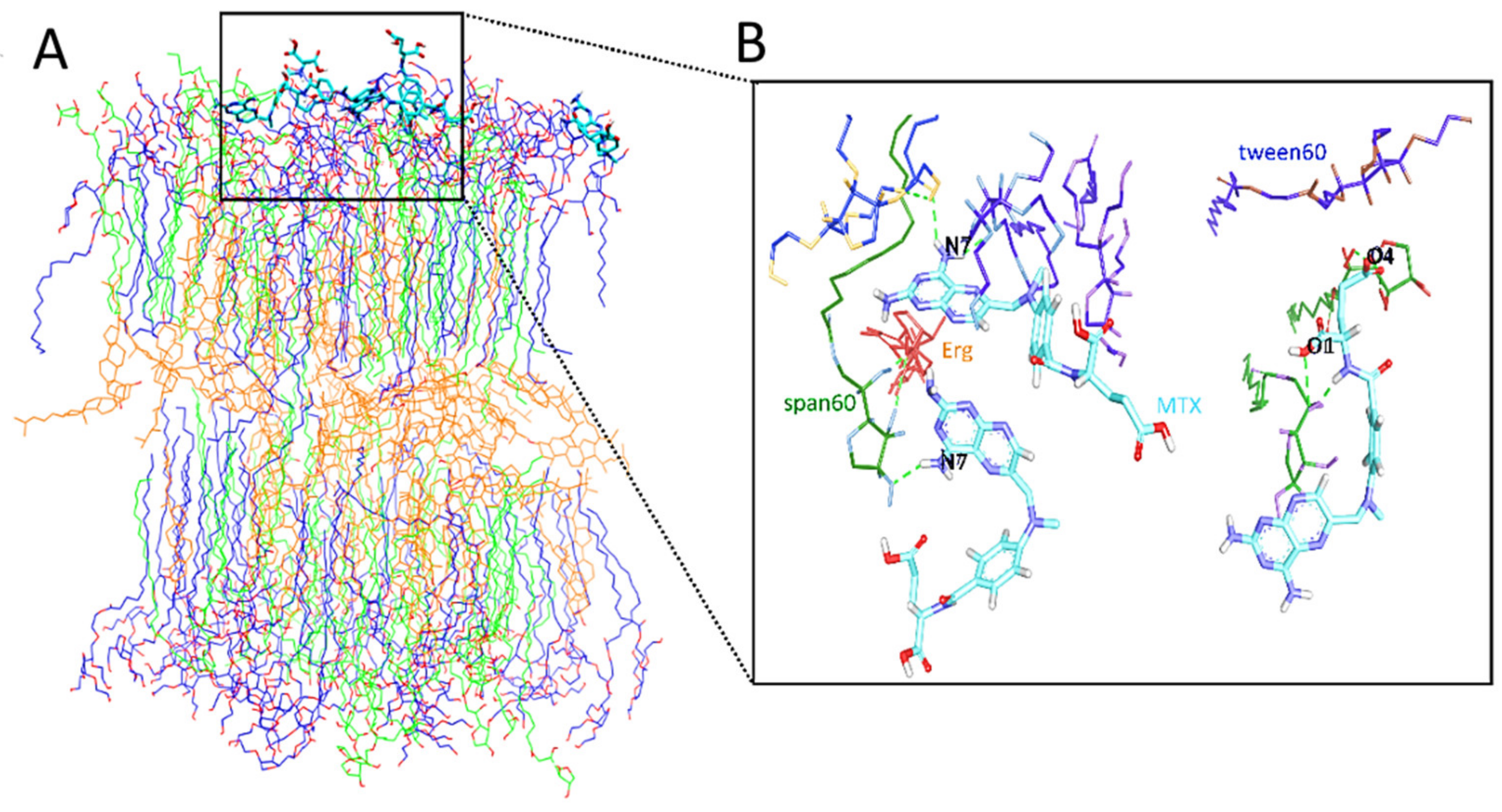 Polymers 13 03153 g005 550