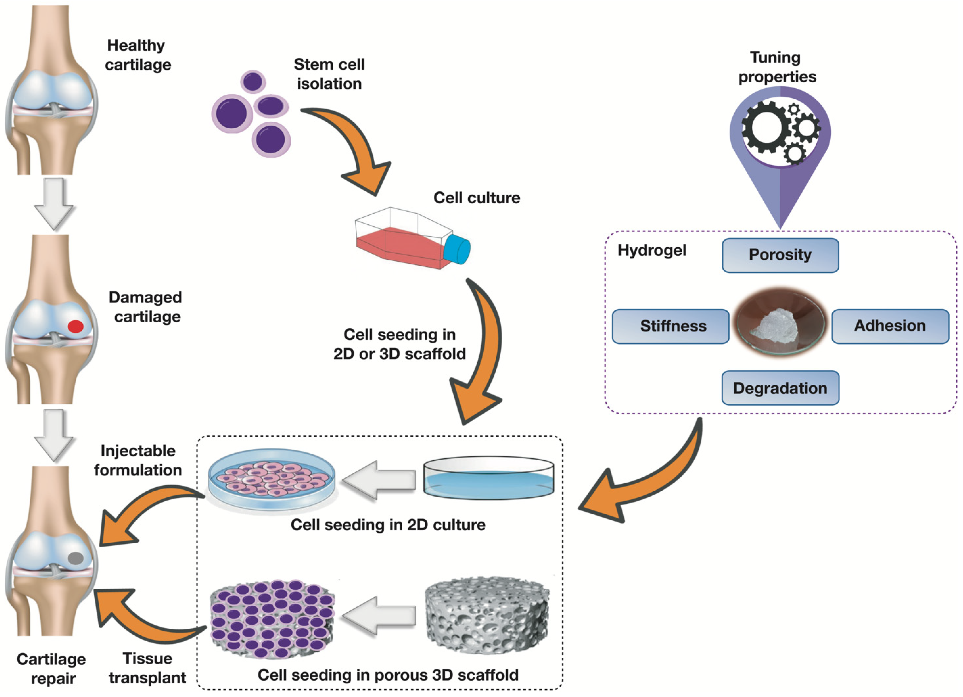 Perspectives on Synthetic Materials to Guide Tissue Regeneration for  Osteochondral Defect Repair