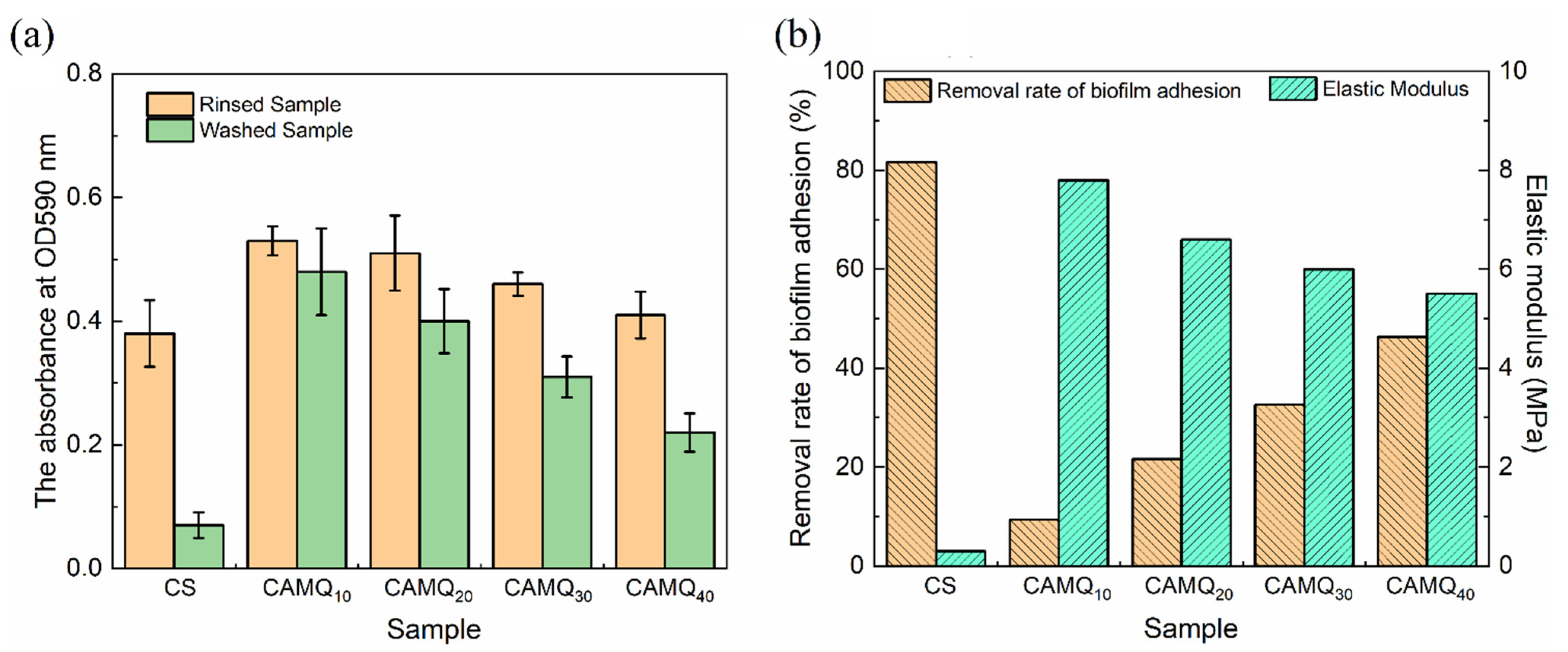 Polymers 13 03156 g010 550