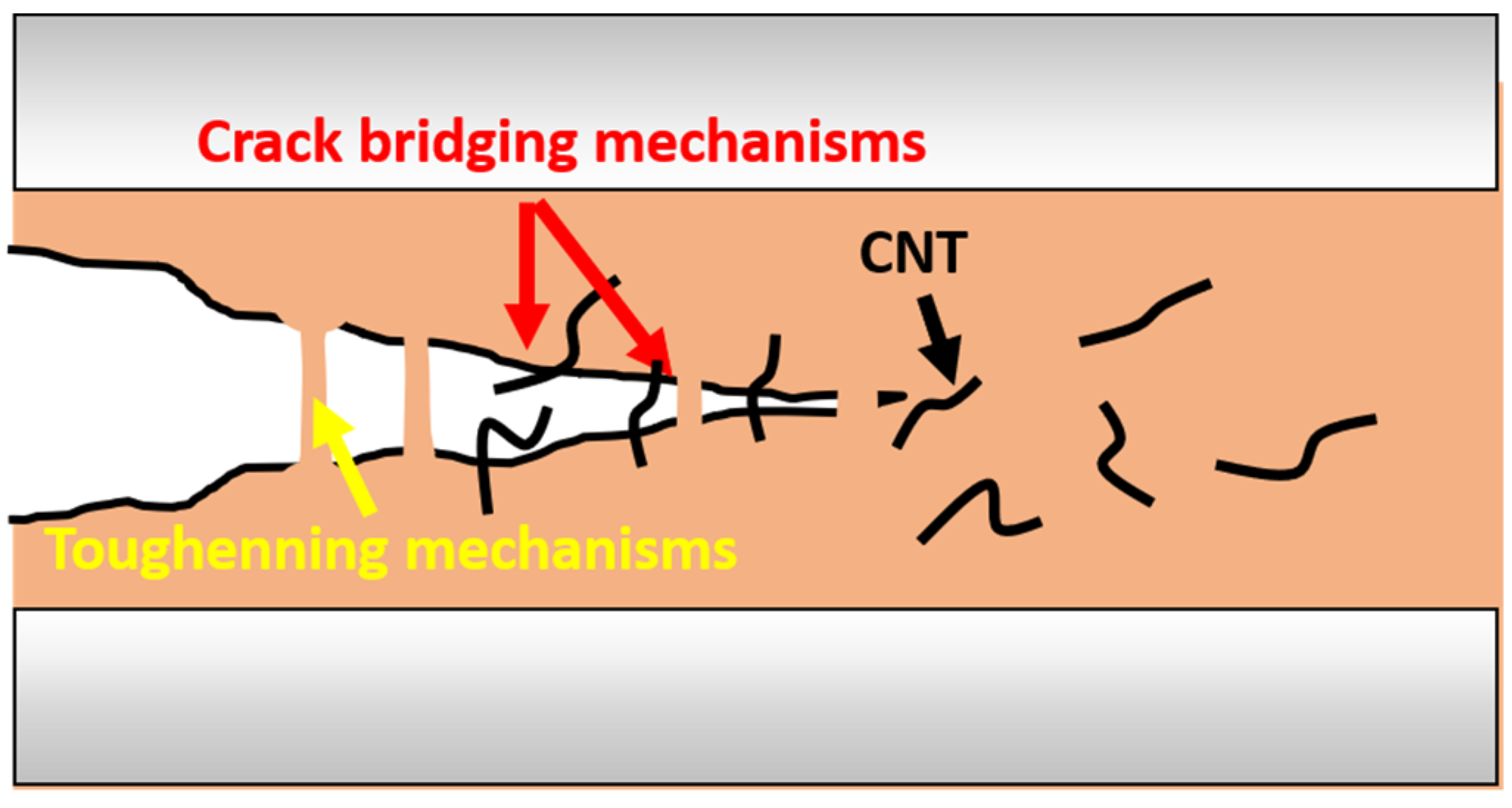 Polymers 13 03159 g003