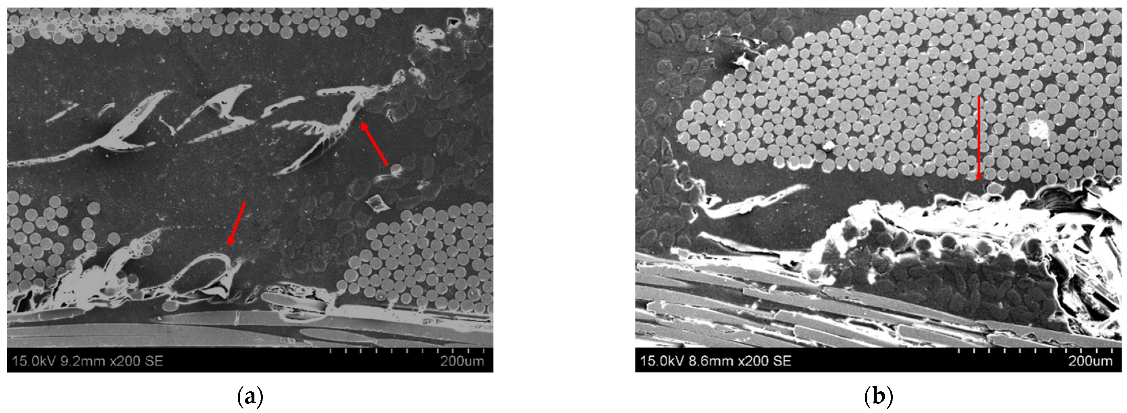 Polymers 13 03159 g004