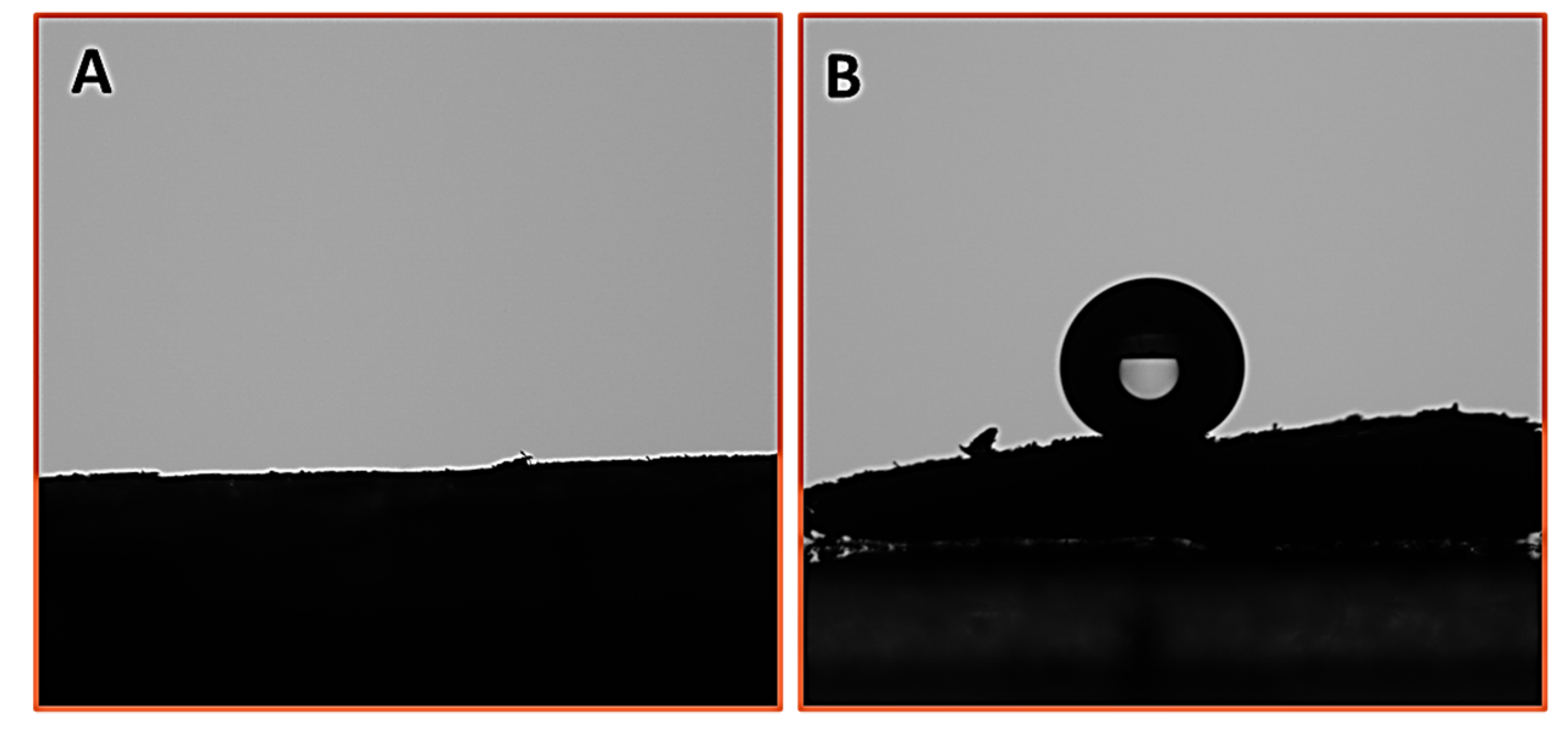 Polymers 13 03163 g005