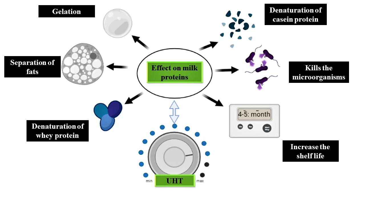 Polymers Free Full Text Influence Of Ultra Heat Treatment On Properties Of Milk Proteins Html Polymers Free Full Text Influence Of Ultra Heat Treatment On Properties Of Milk Proteins Html