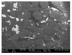 Polymers 13 03165 i035