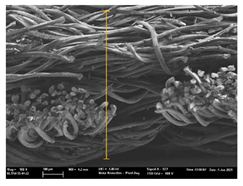 Polymers 13 03165 i040