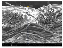 Polymers 13 03165 i046
