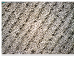 Polymers 13 03165 i048