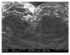 Polymers 13 03165 i049