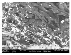 Polymers 13 03165 i059