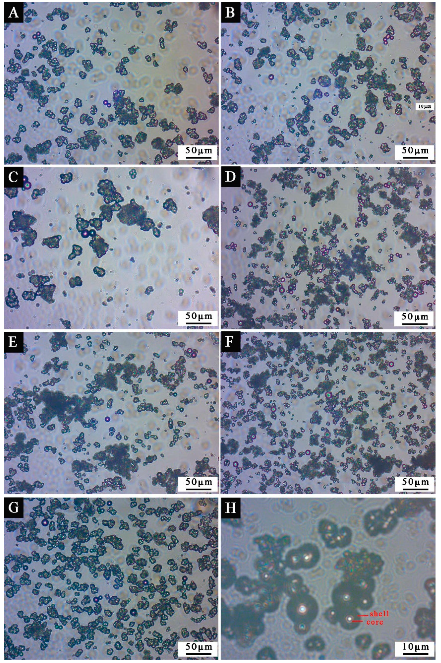 Polymers 13 03167 g005