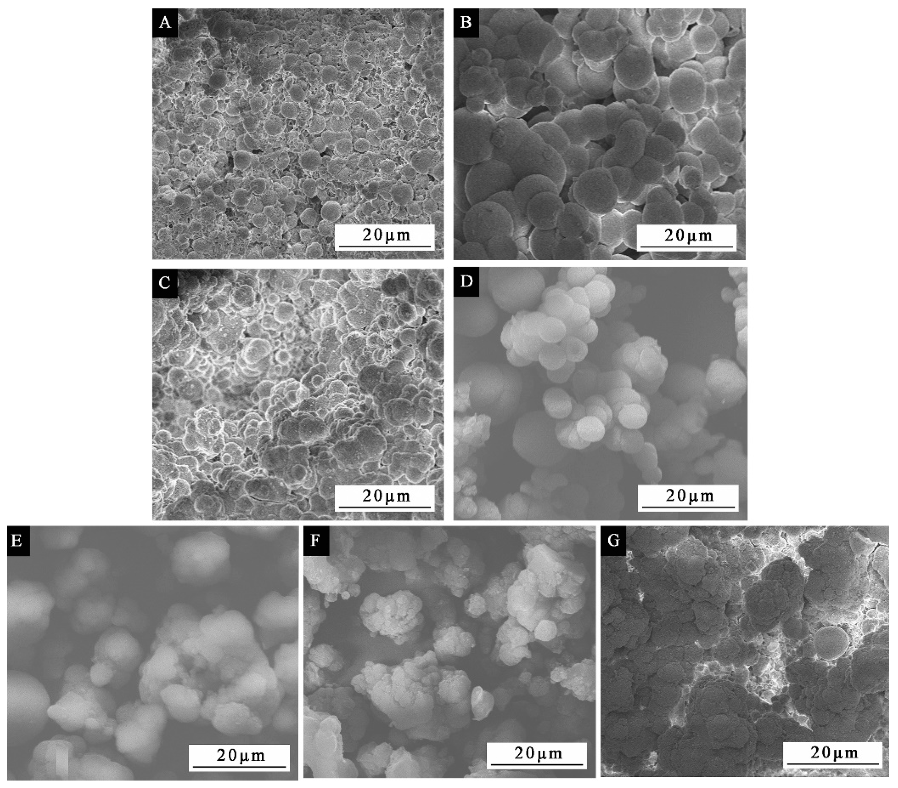Polymers 13 03167 g006