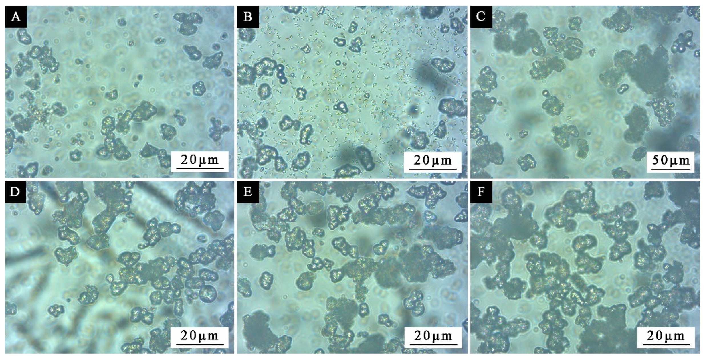 Polymers 13 03167 g008