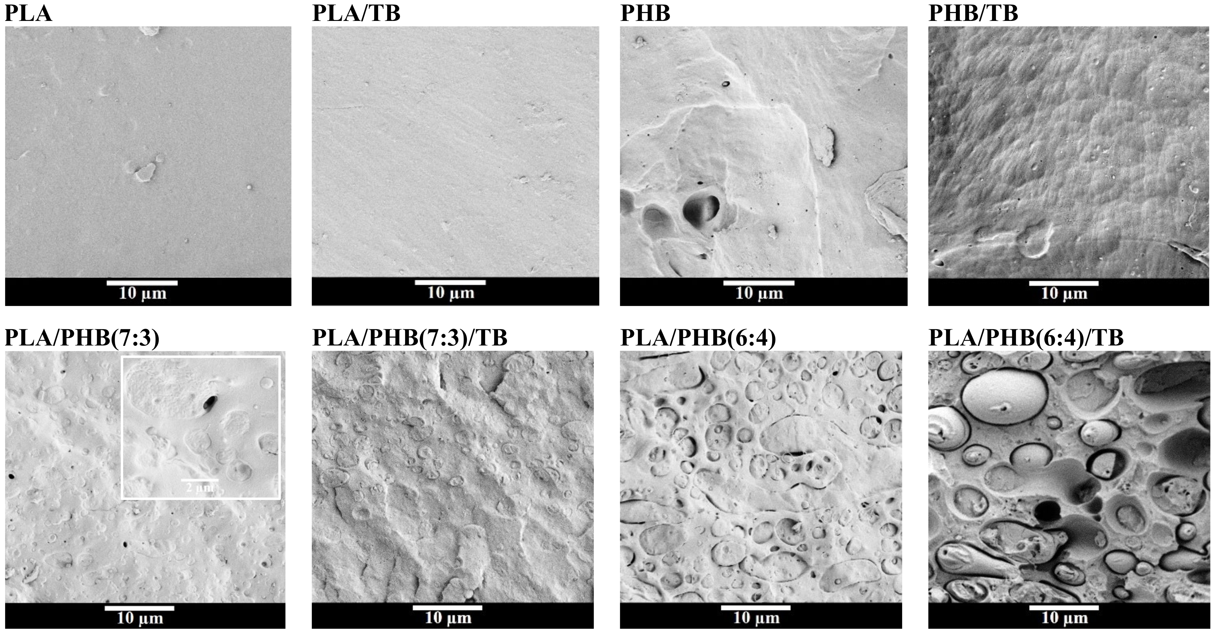 Polymers 13 03171 g001